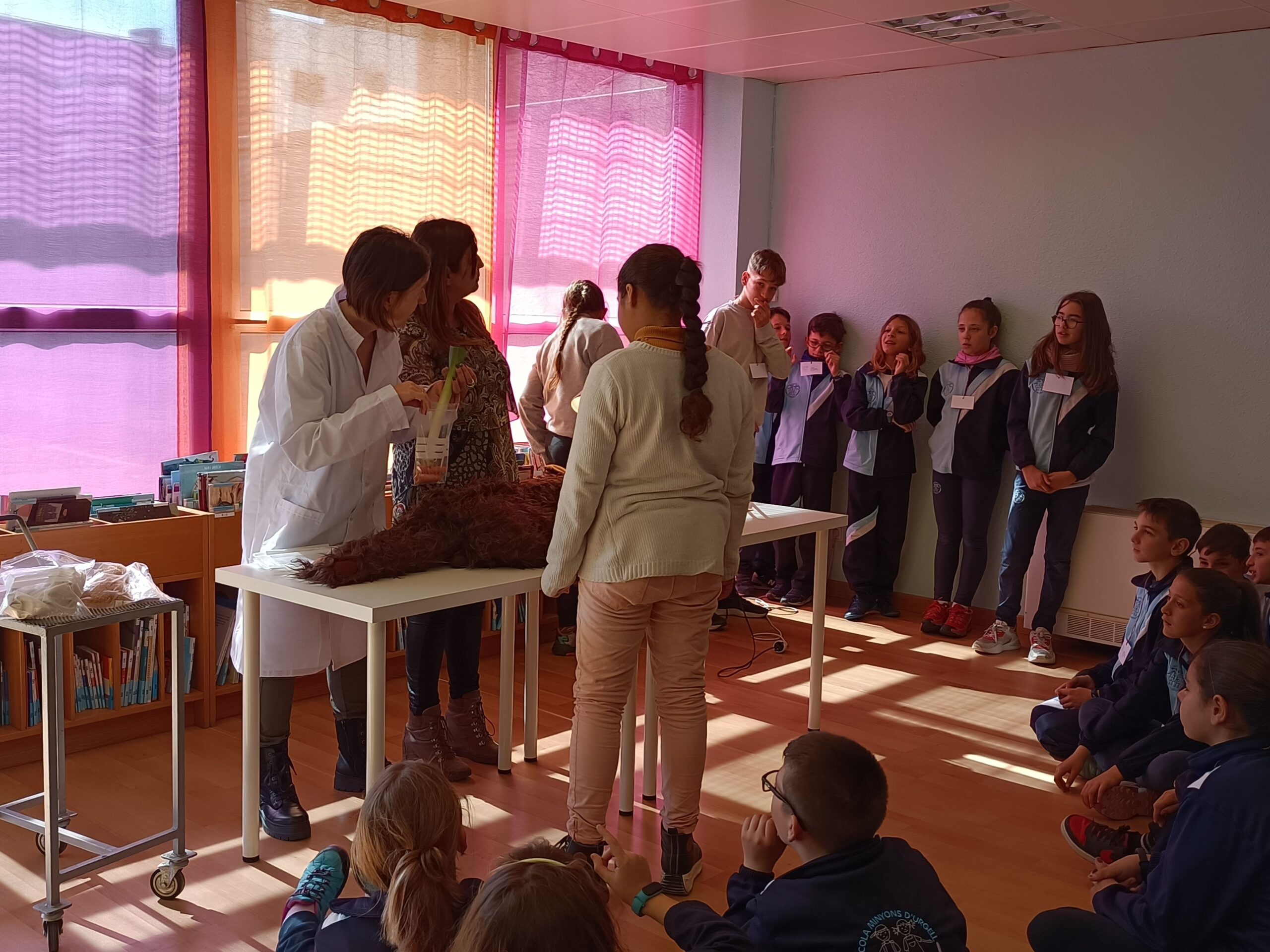 IMG20230310113453_resultat