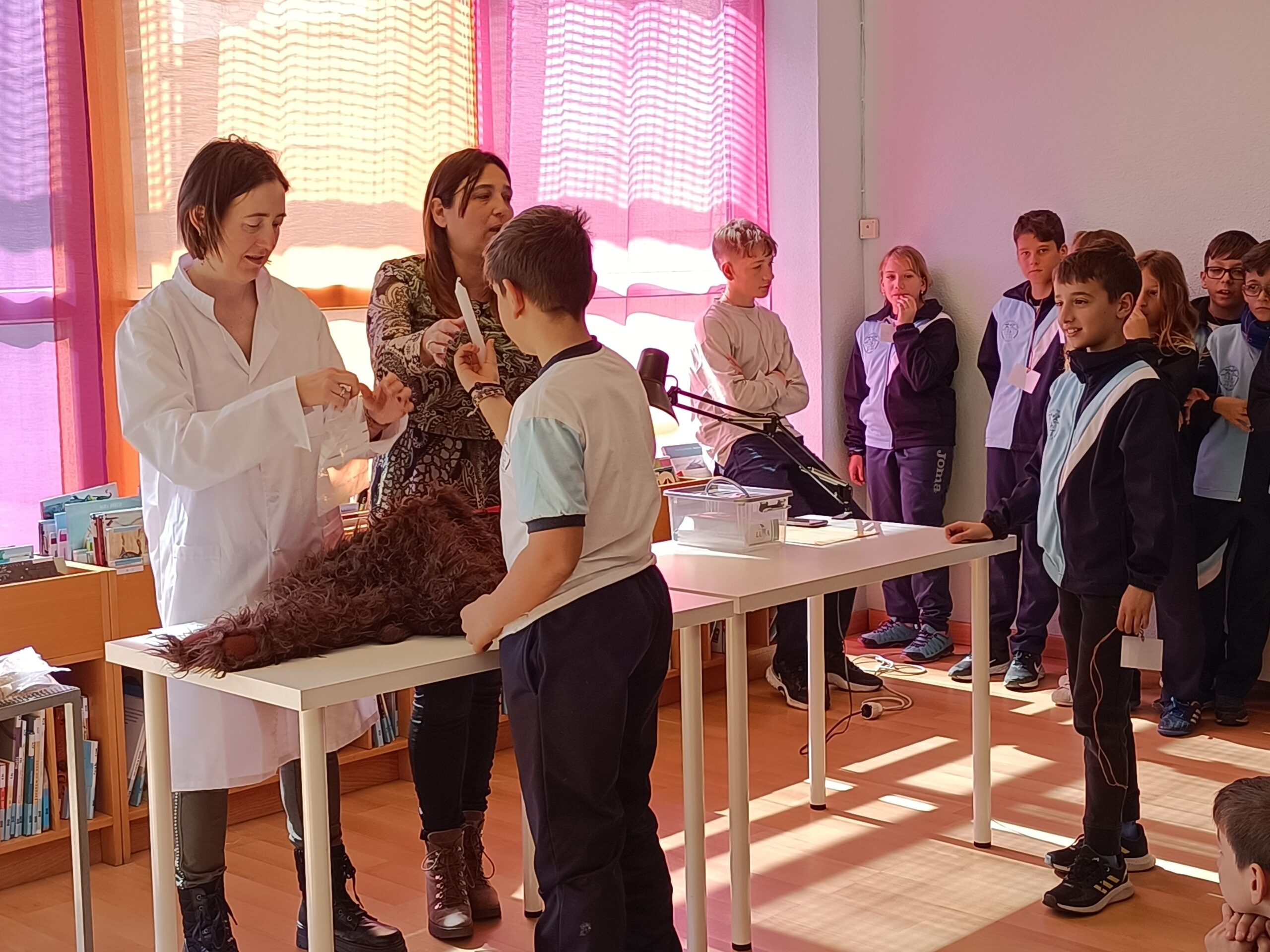 IMG20230310113907_resultat