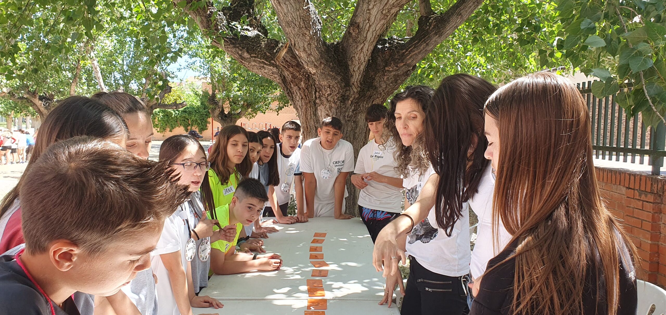 20240531_122102_resultat