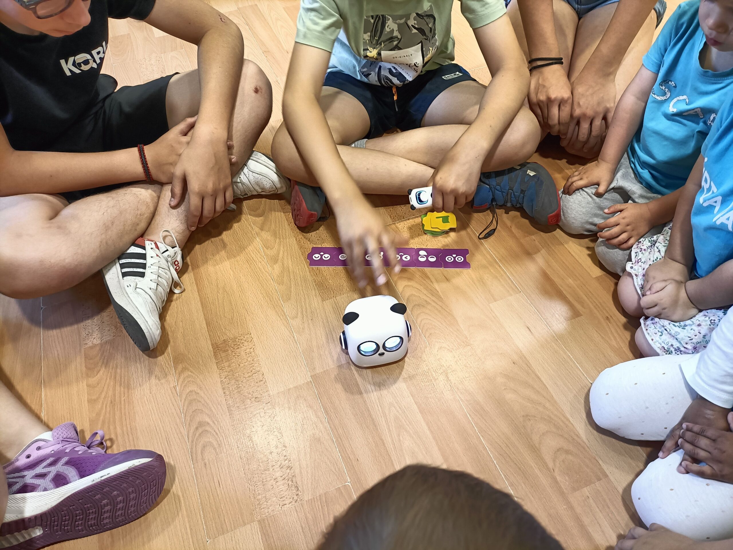 IMG20240604104502_resultat