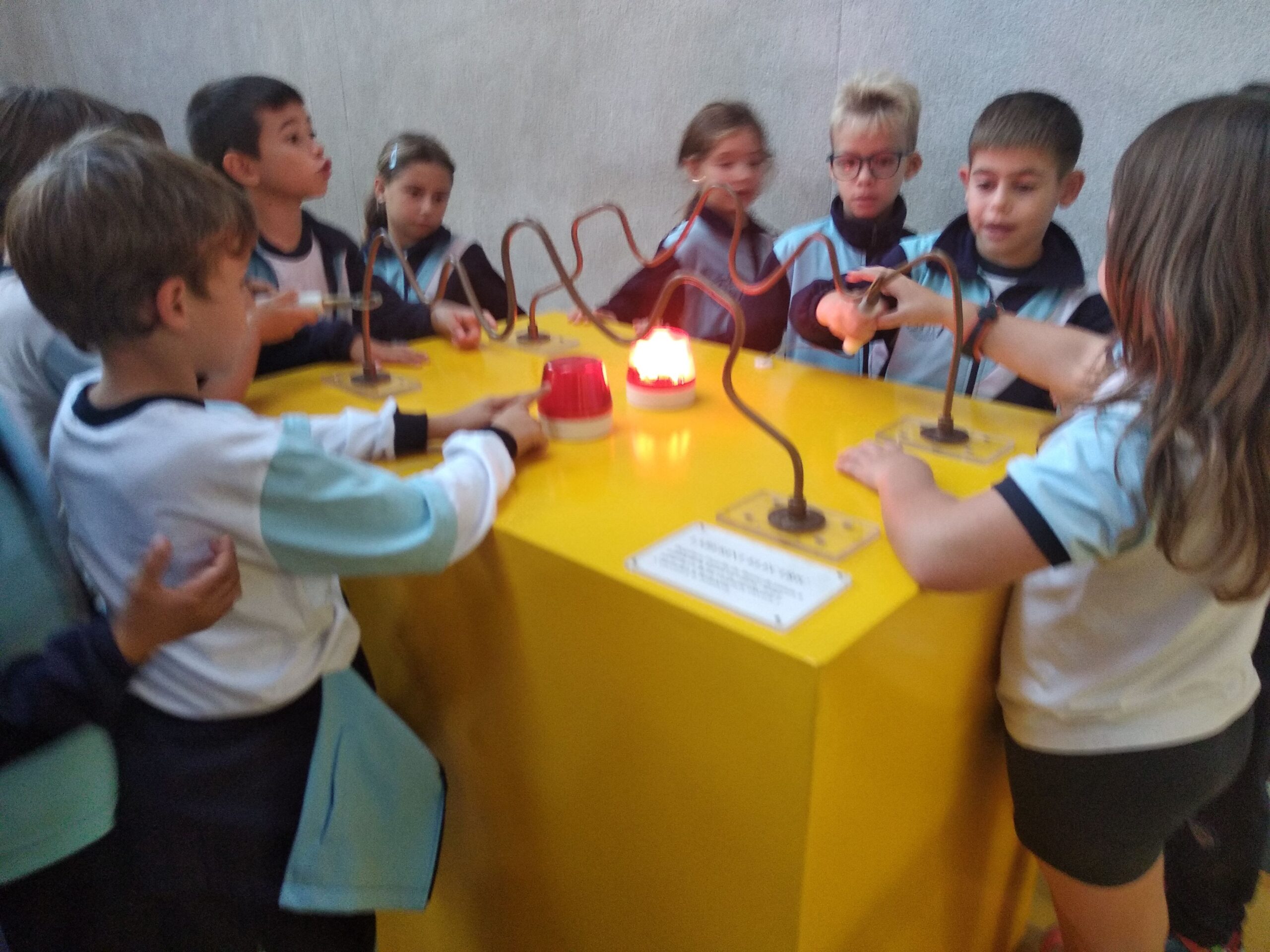 IMG_20241011_121236_resultat