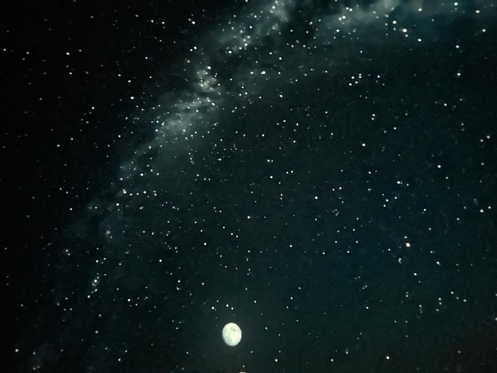 Foto de nmontull (18)_resultat