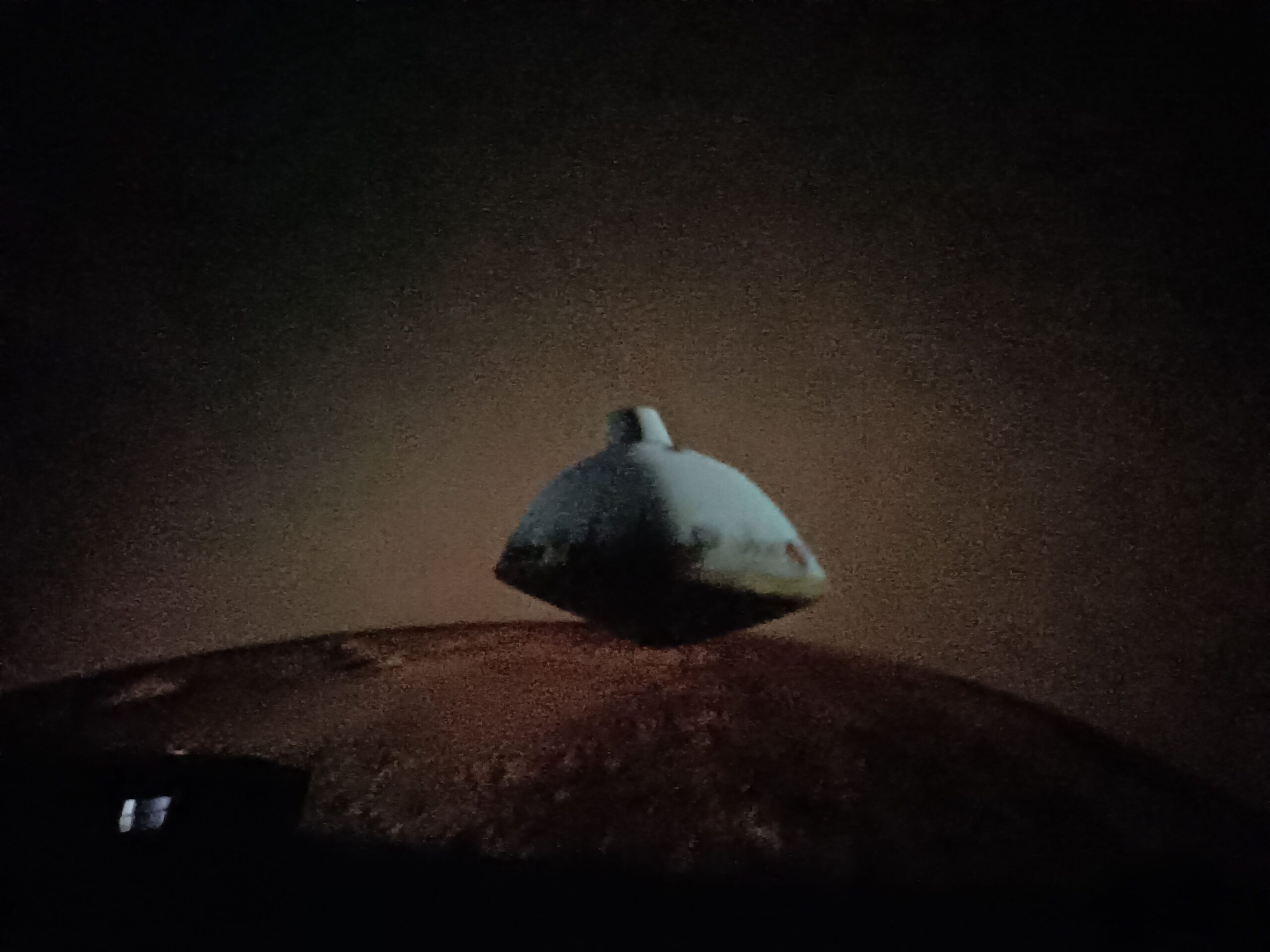 IMG20241119095237_resultat