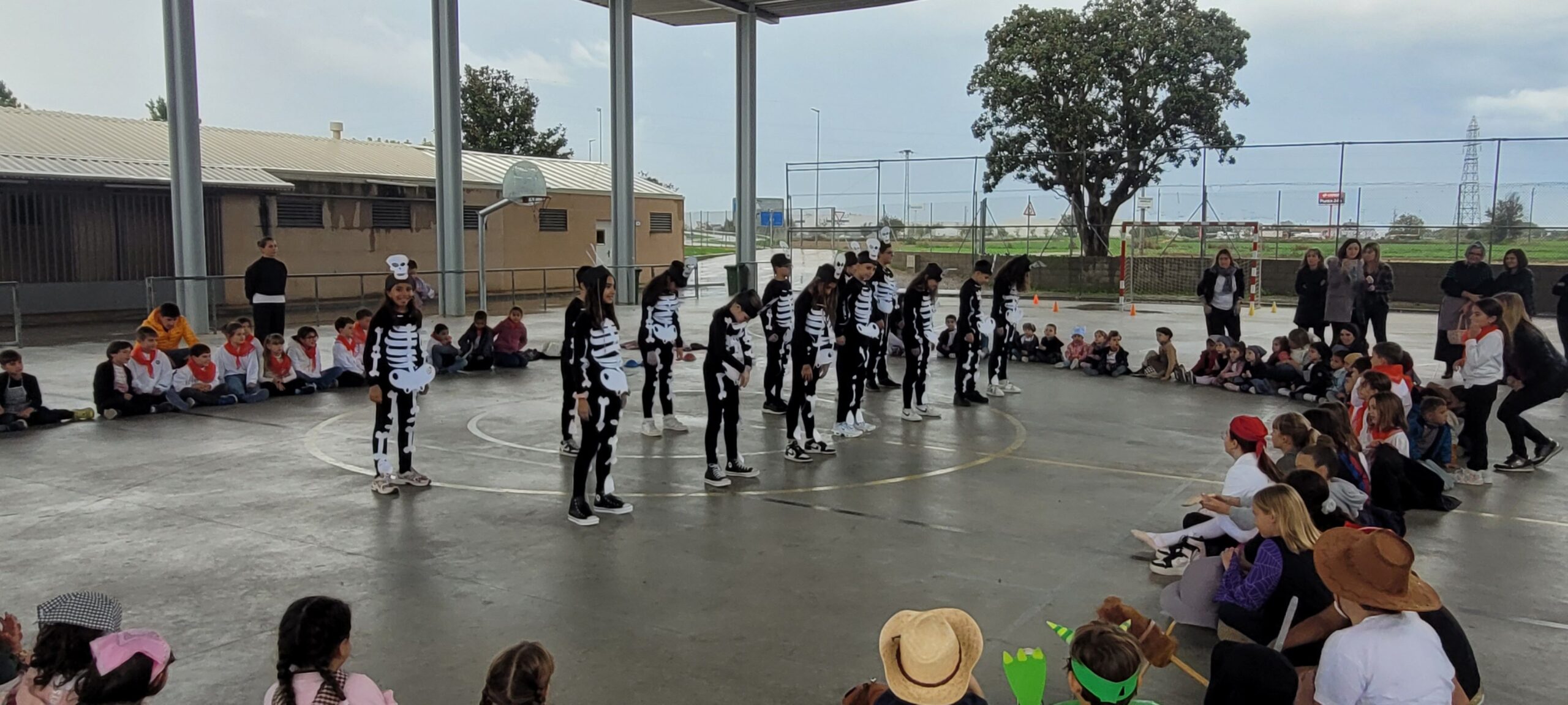 20241031_155804 (1)_resultat