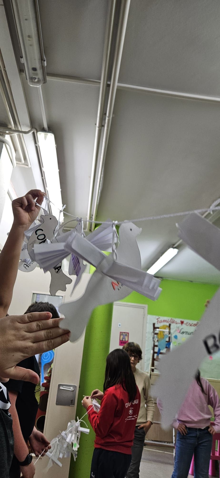 Foto de nmontull (39)_resultat