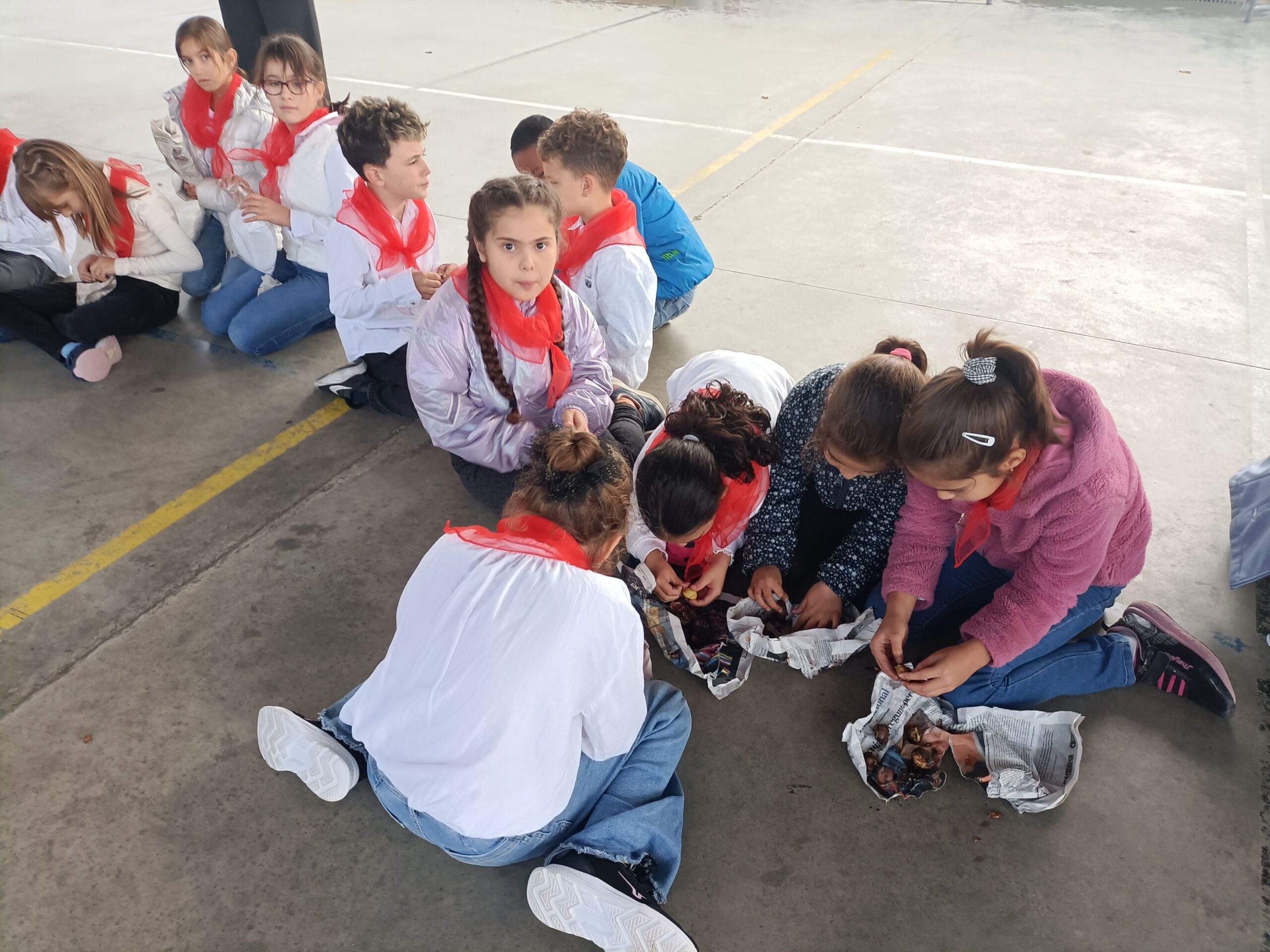 IMG20241031161112 (1)_resultat