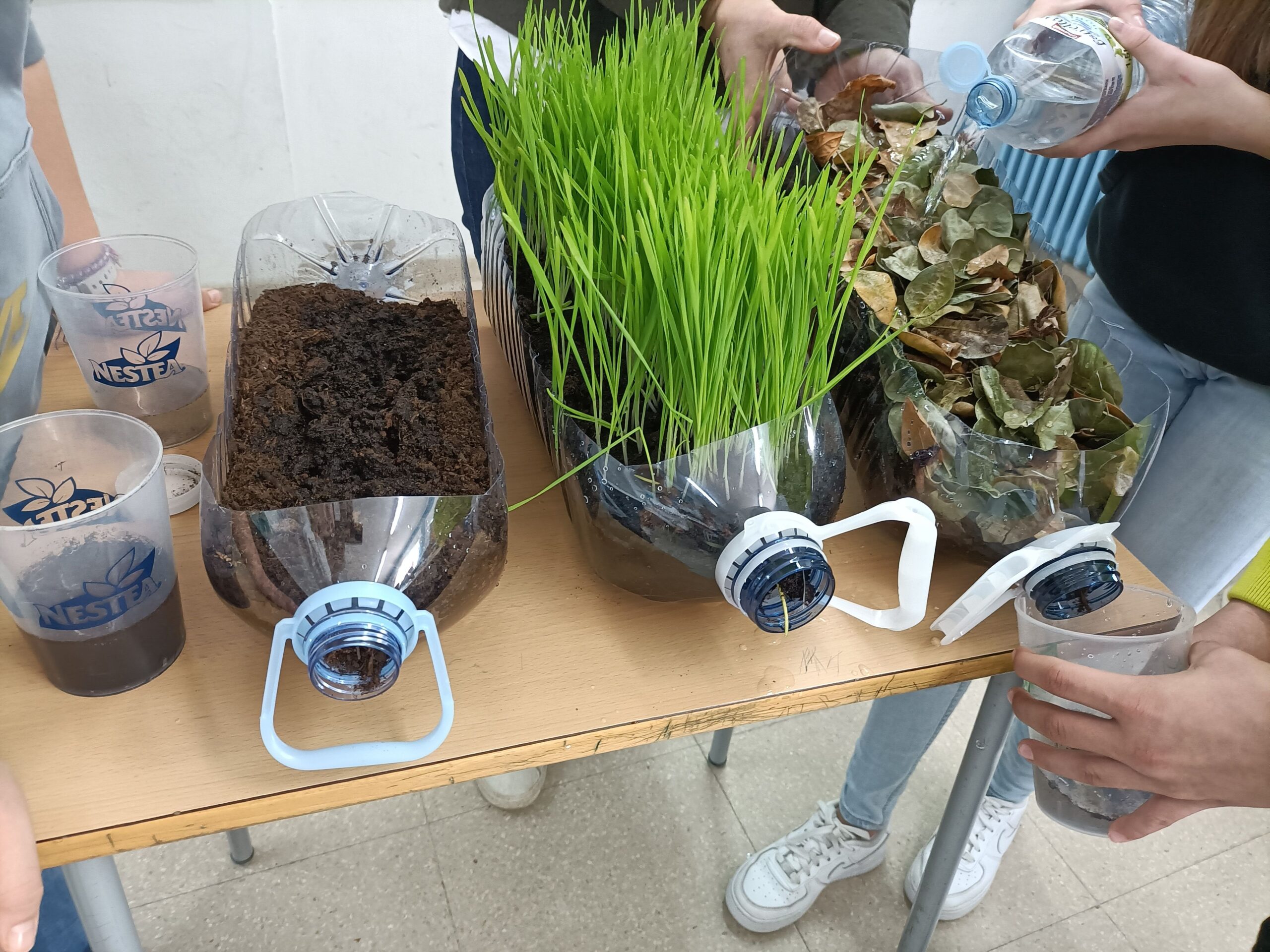 IMG20250211120533_resultat