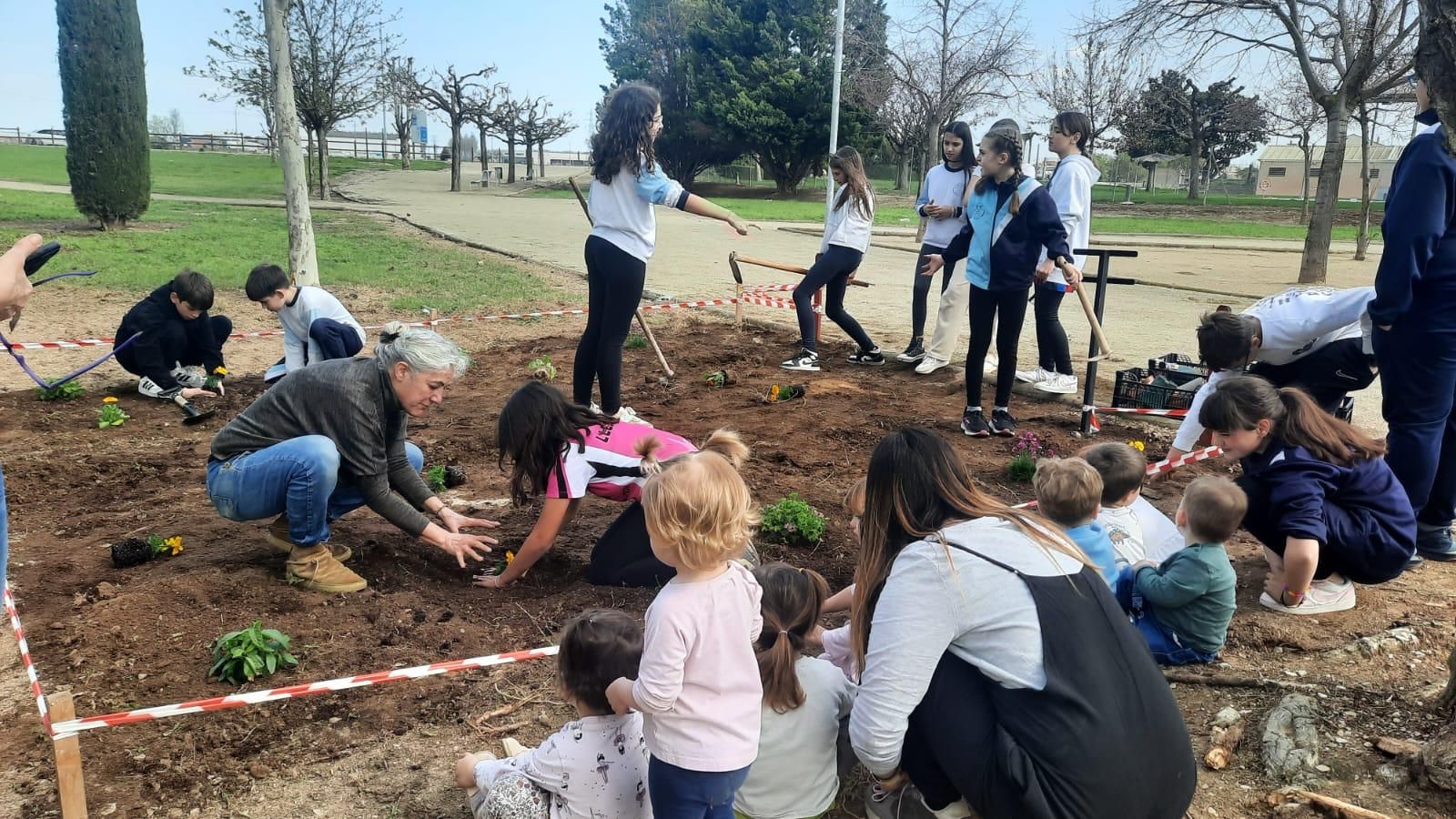 IMG-20250404-WA0022_resultat