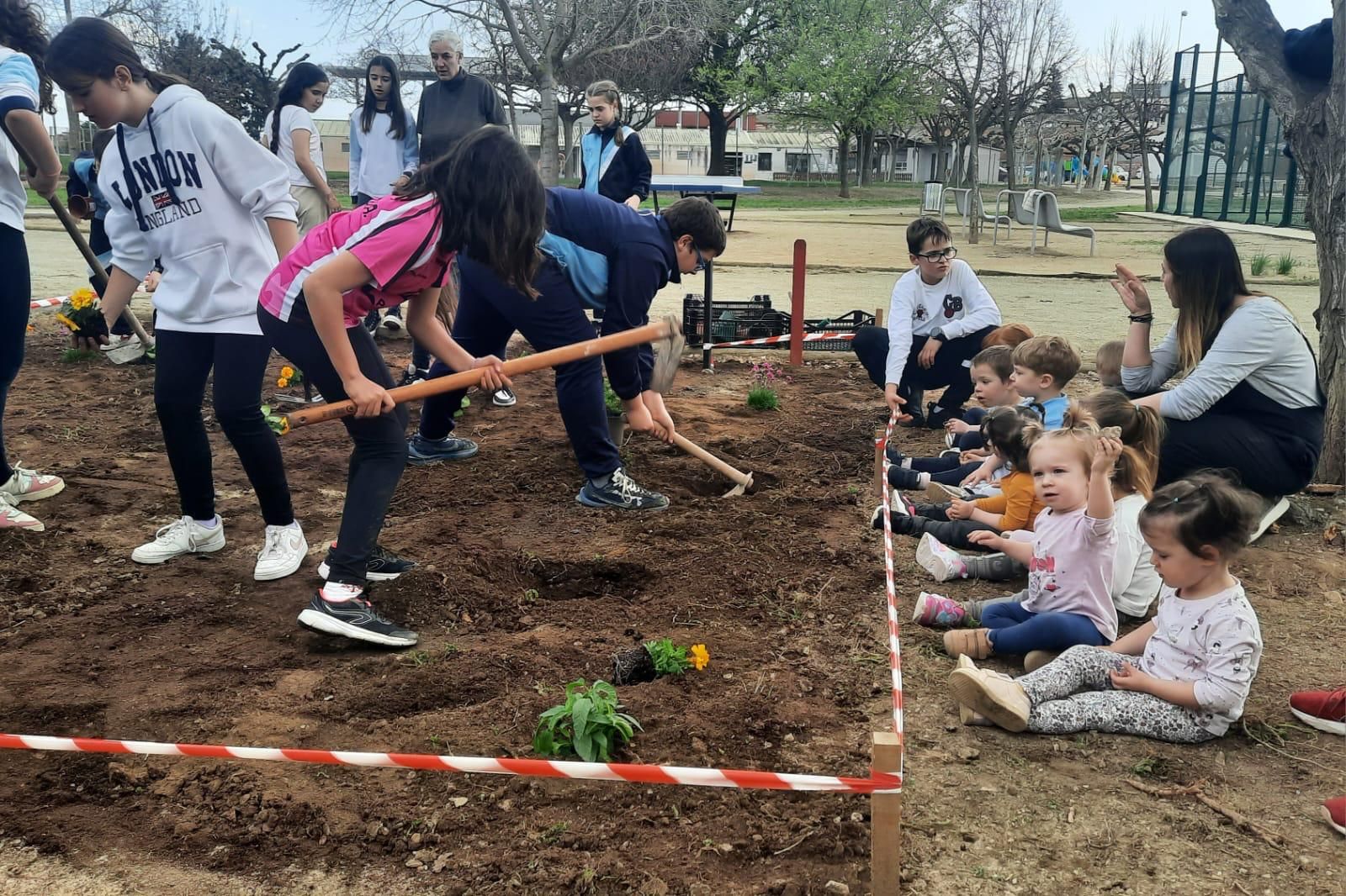 IMG-20250404-WA0023_resultat