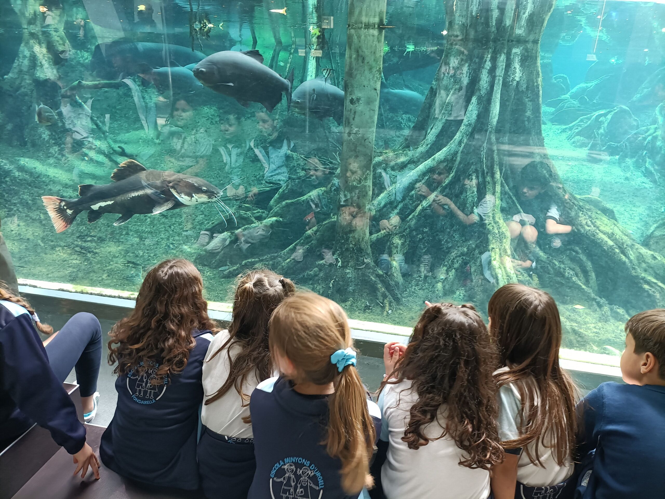 IMG20250424125259_resultat