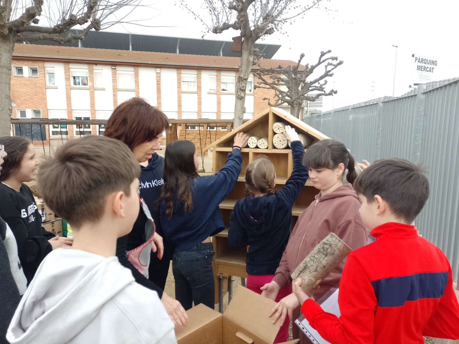 IMG_20250306_091313_059_resultat