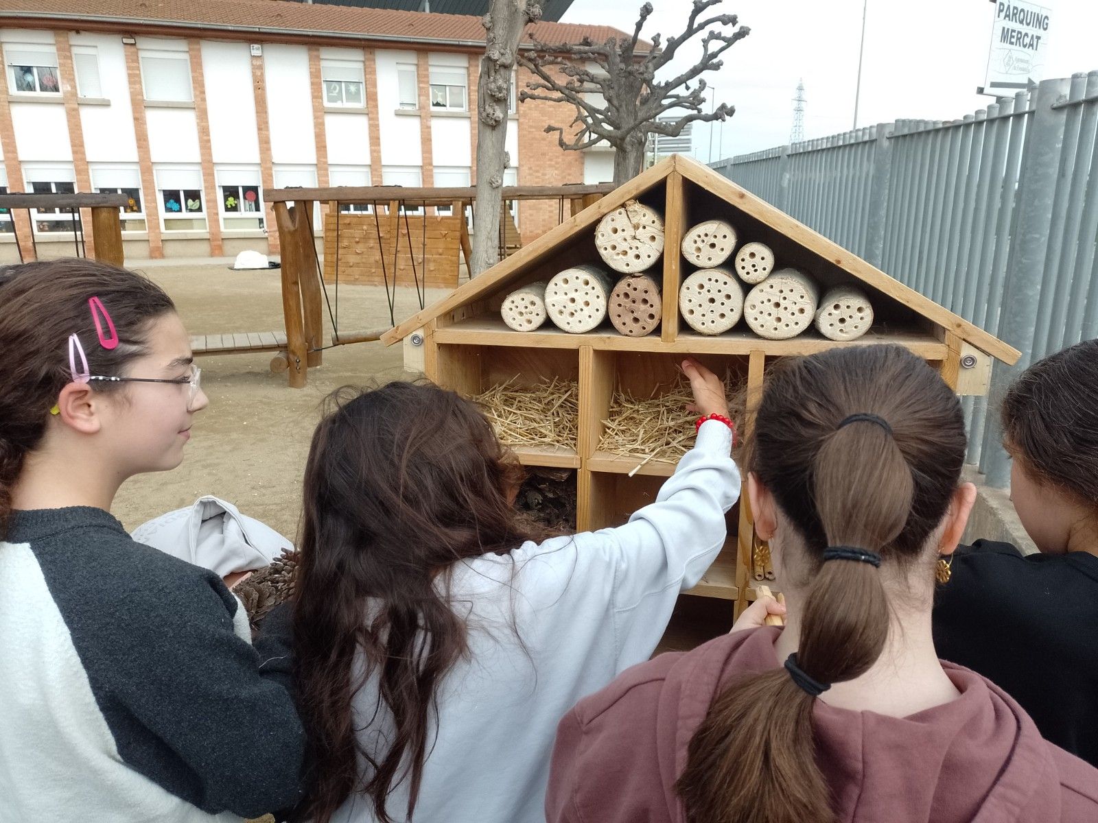 IMG_20250306_091712_463_resultat