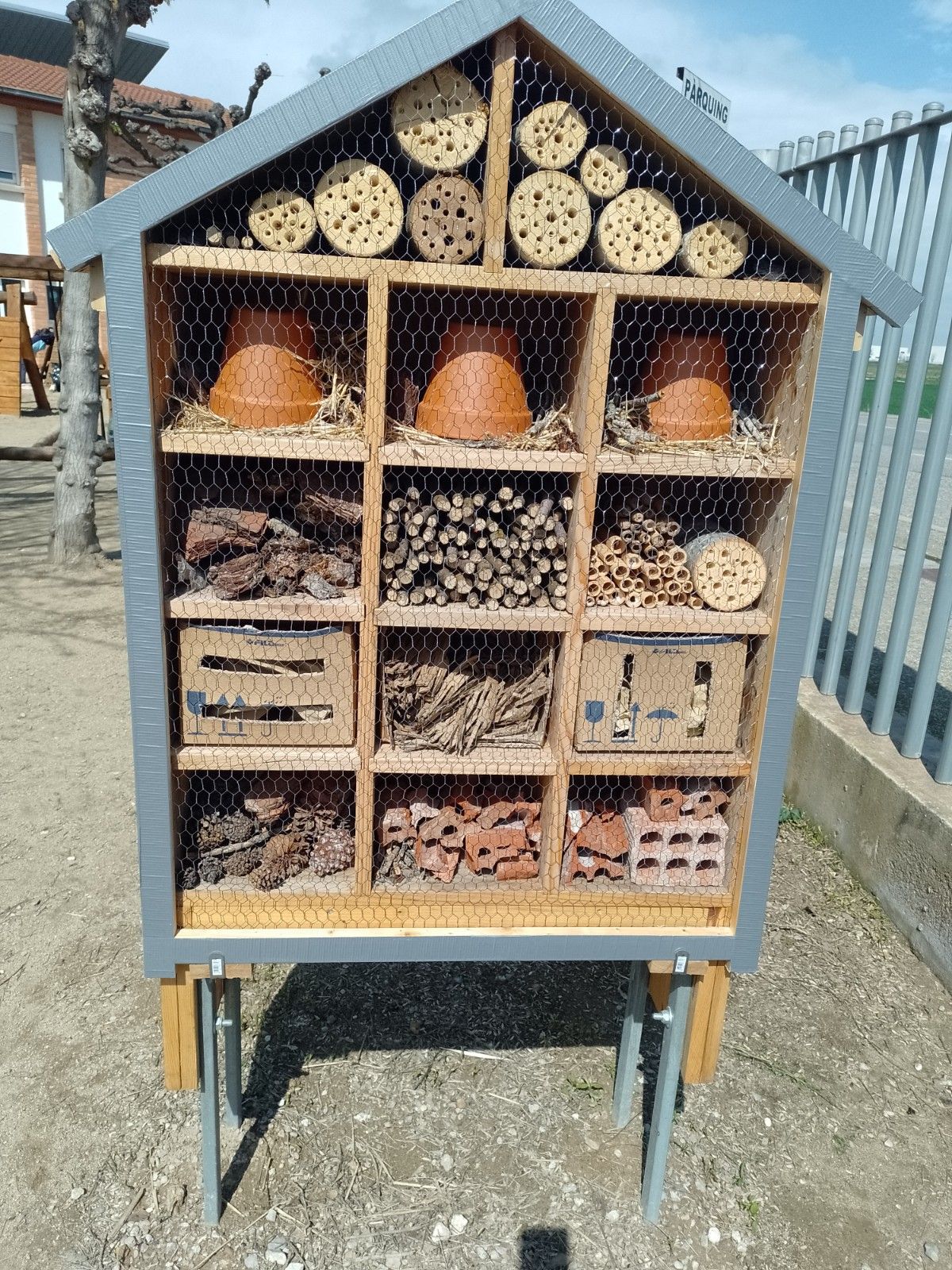 IMG_20250325_134303_384_resultat