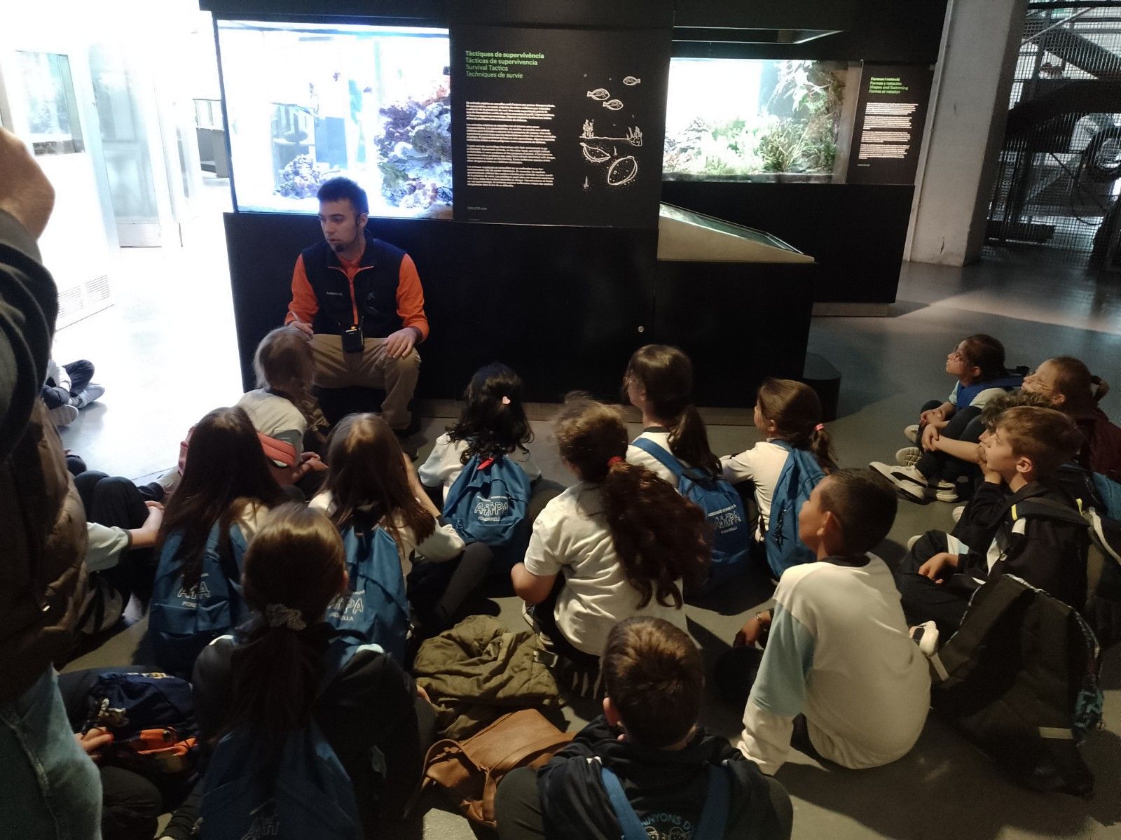 IMG_20250424_123445_094_resultat