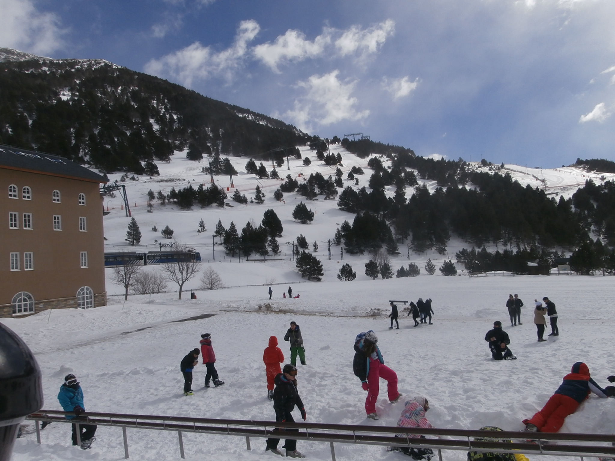 OLYMPUS DIGITAL CAMERA