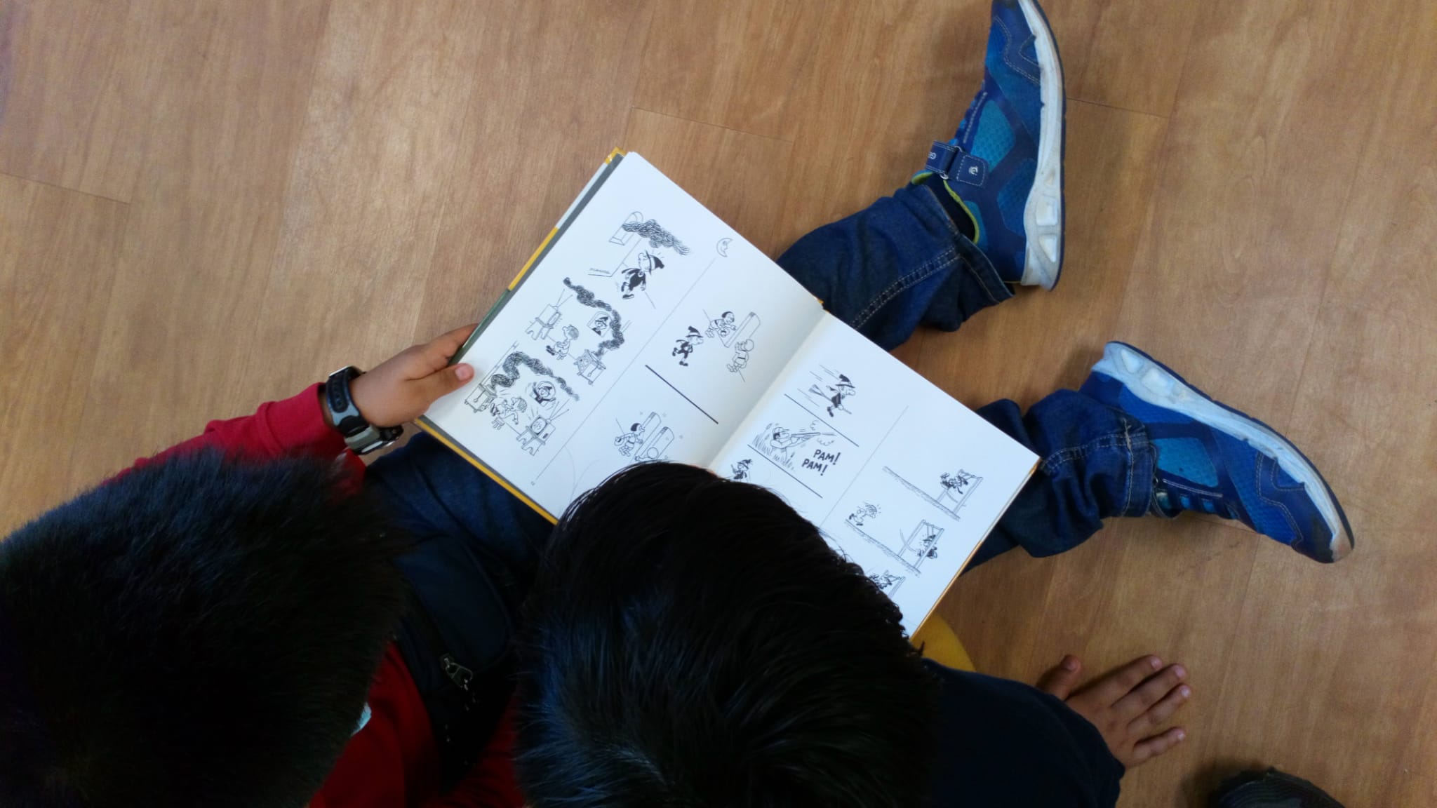 biblioteca d'aula 11