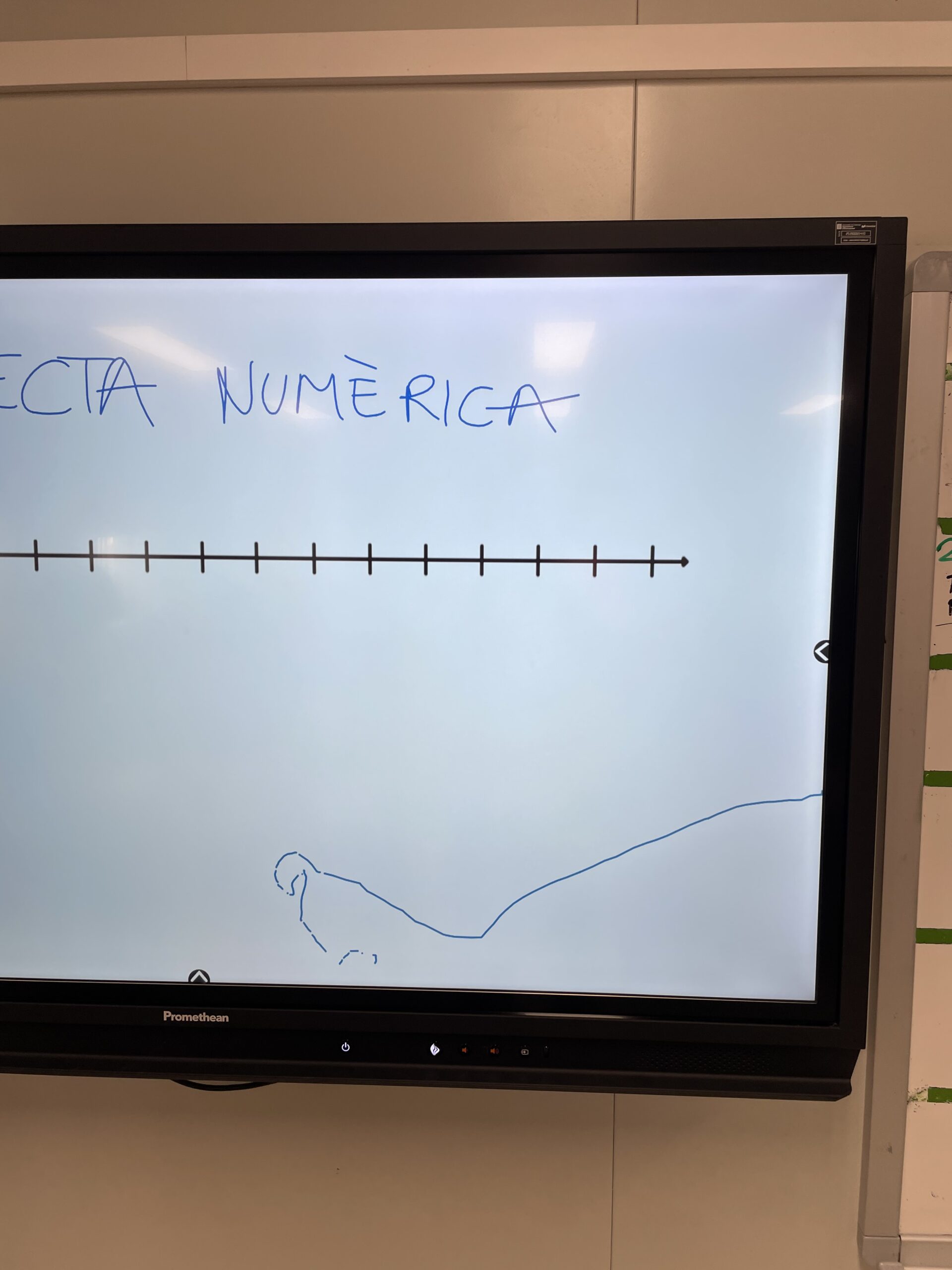 Vídeo de la Mosca Manola