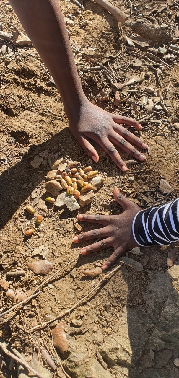 20241023_124149_Original Gran