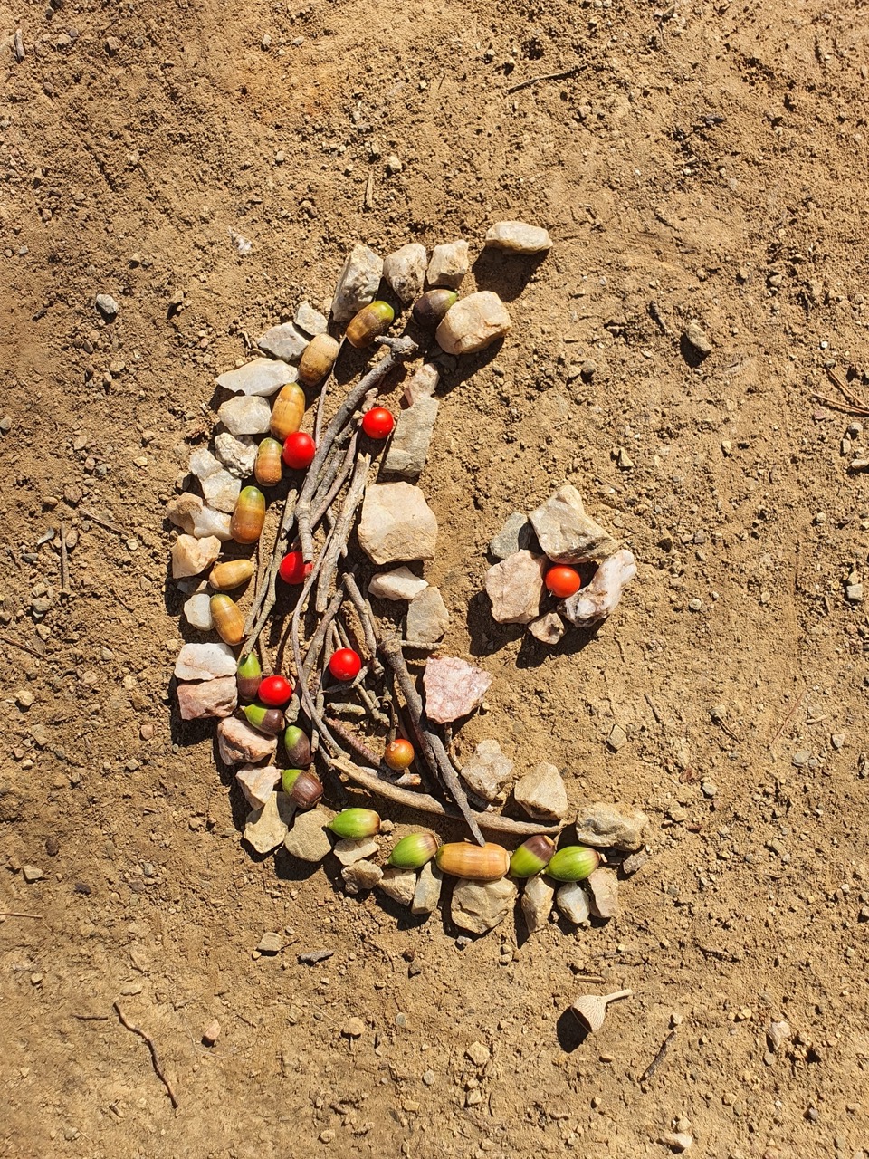 20241023_125155_Original Gran