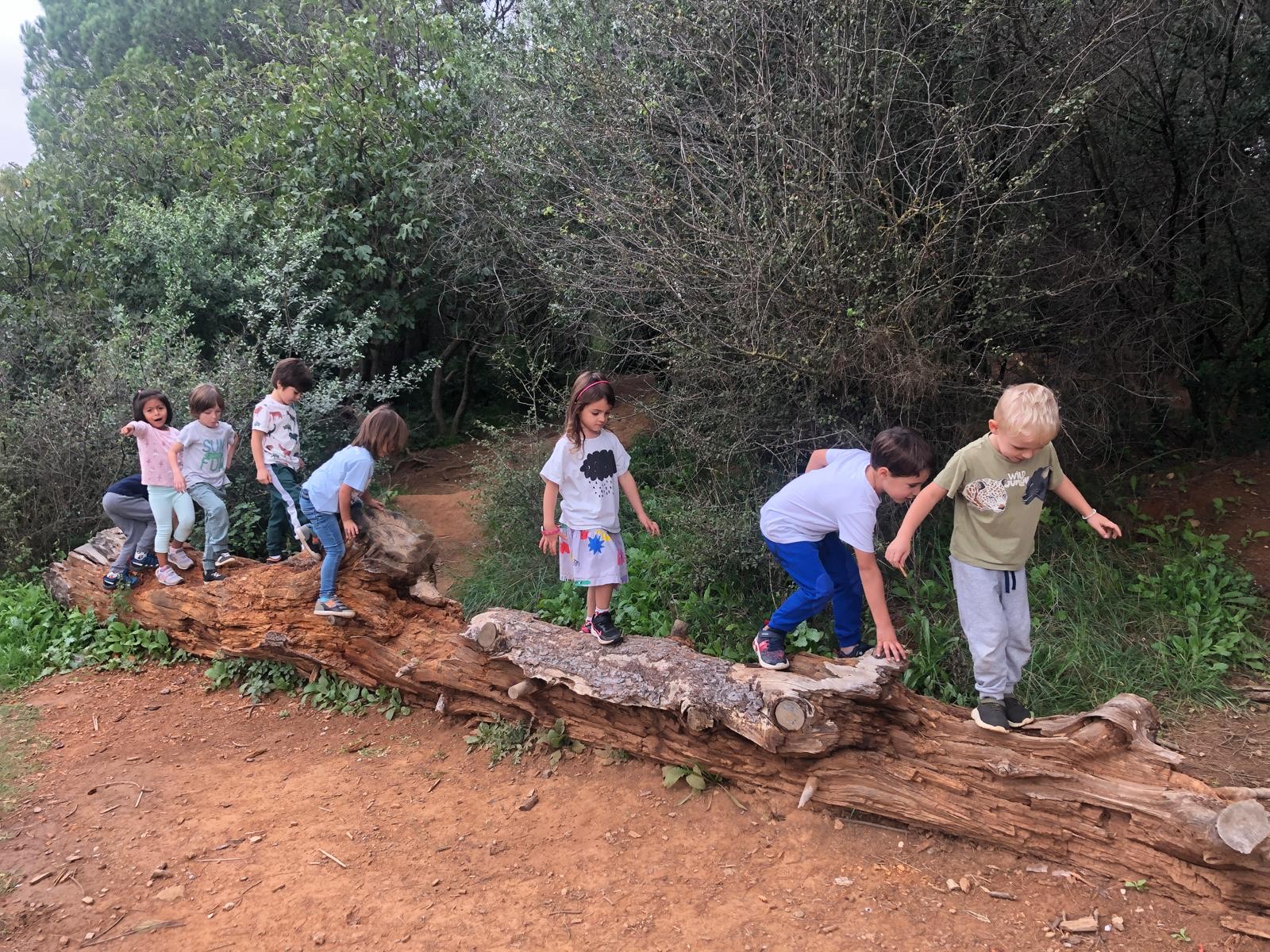 436c0c31-7a12-46fb-a9e6-185b67db9335