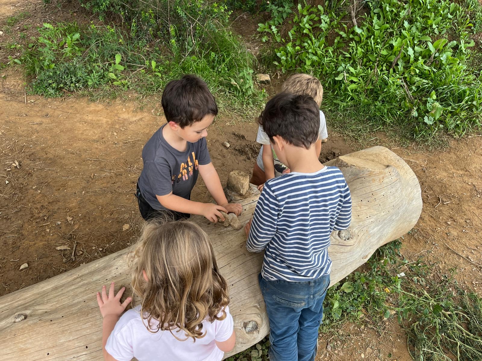 68faaba8-1c15-490e-9cda-68d40acfebb5