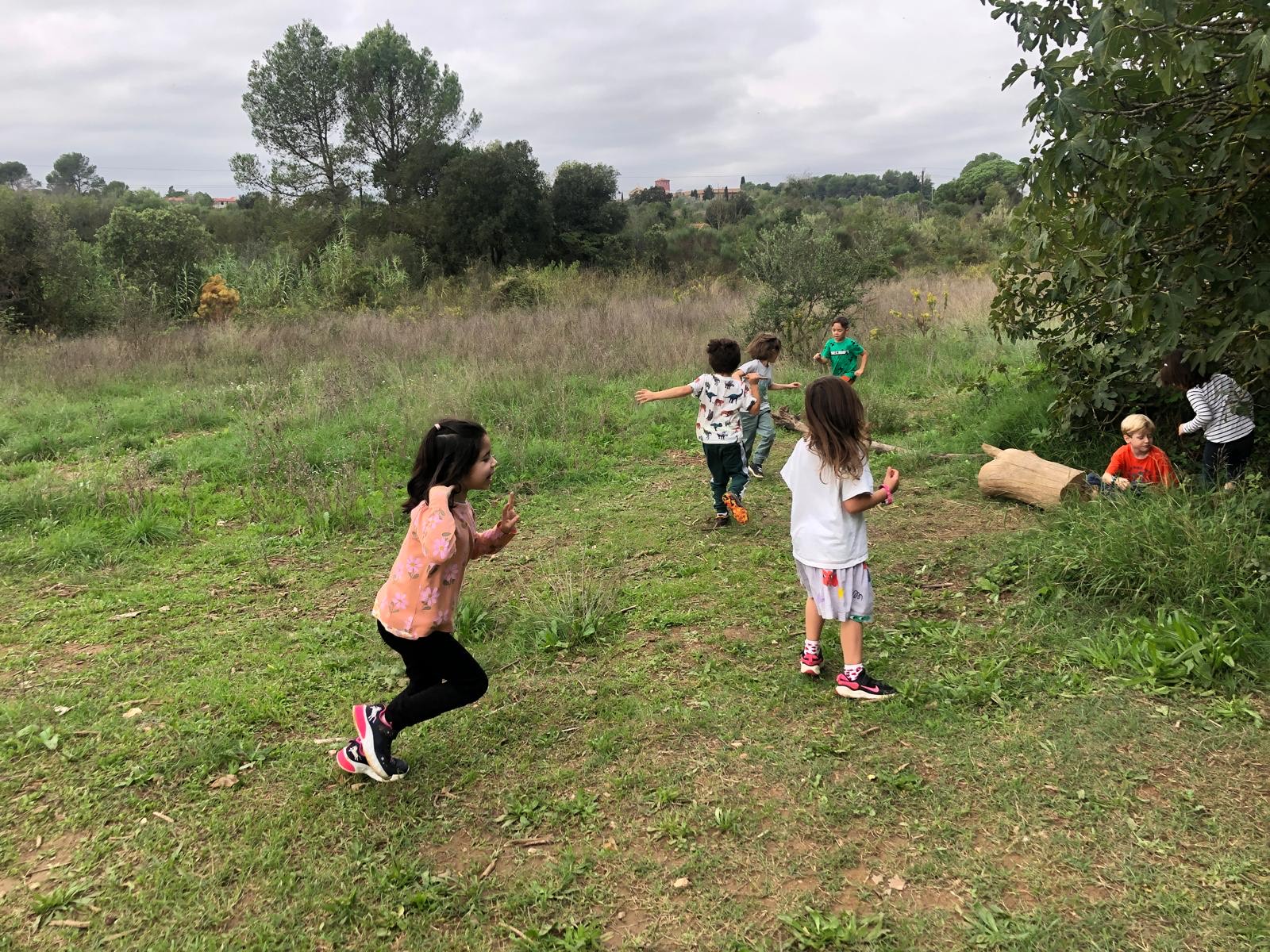 75293cf5-fe50-4222-b66e-745569a5fde9