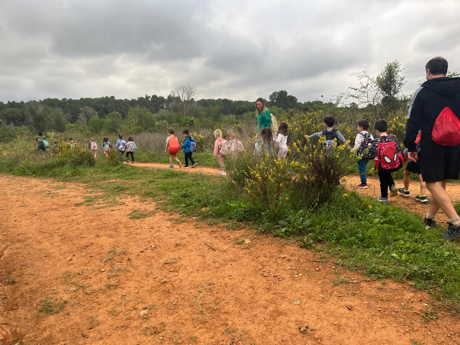 d23abe9e-349f-4f30-b724-064979d2da1a