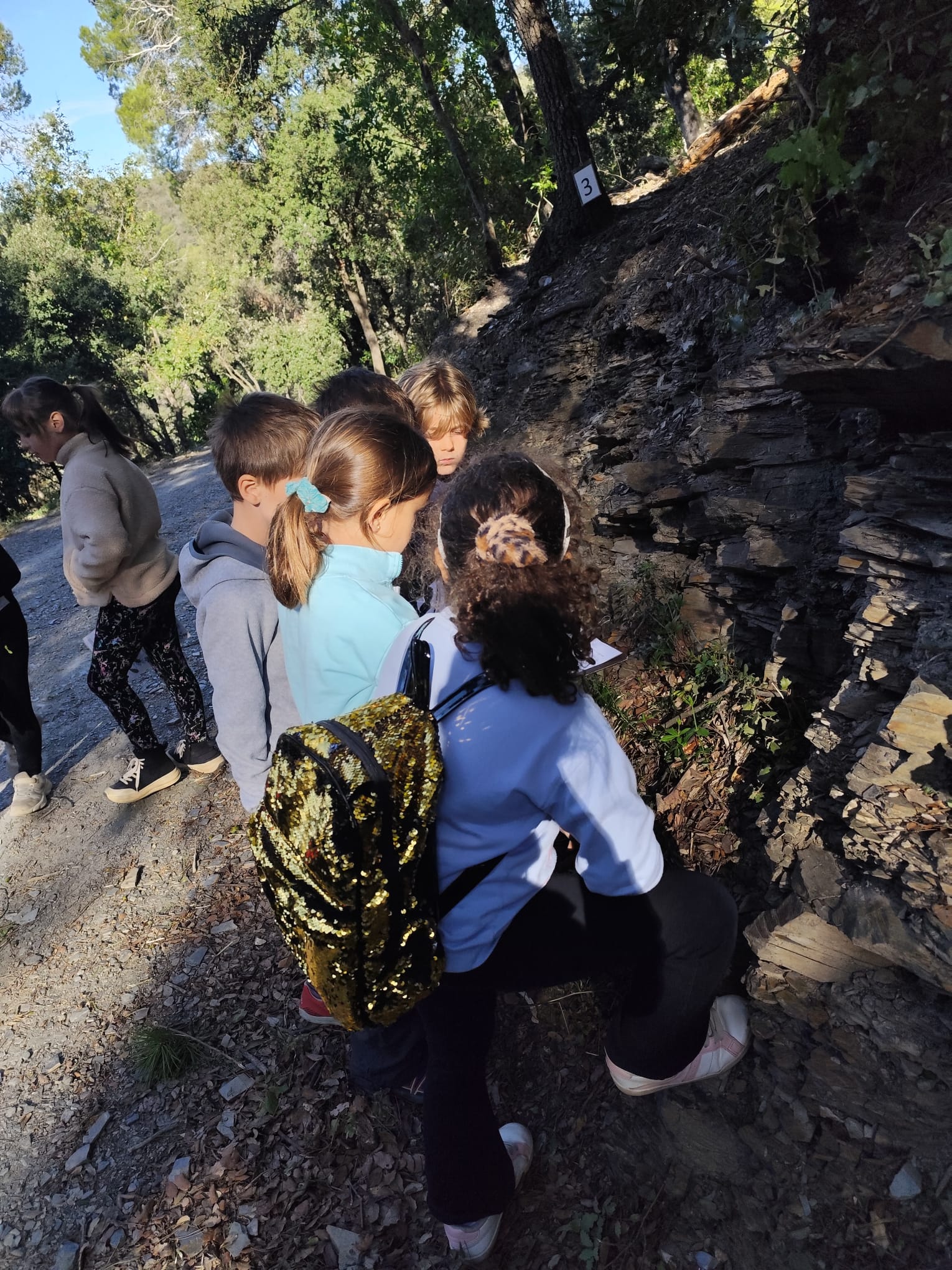 IMG-20251024-WA0014 (1)