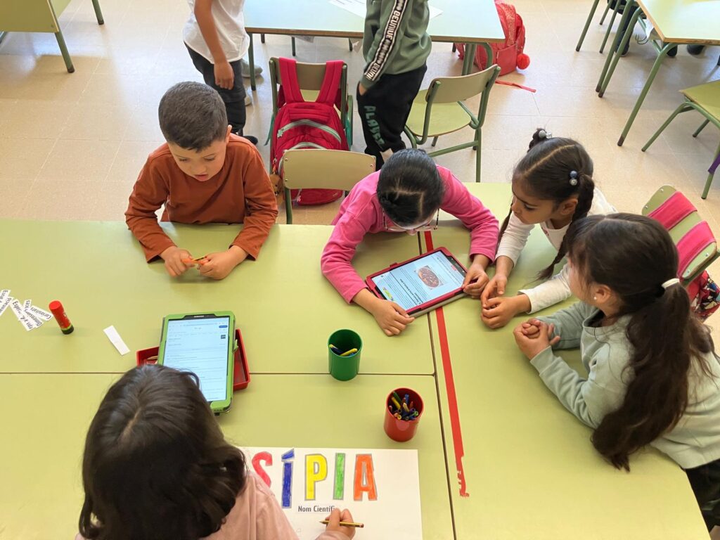 Cartells sobre els nostres peixos