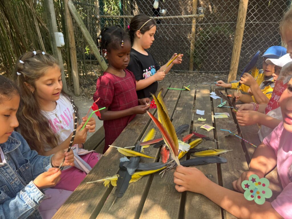 Sortida a Butterfly Park