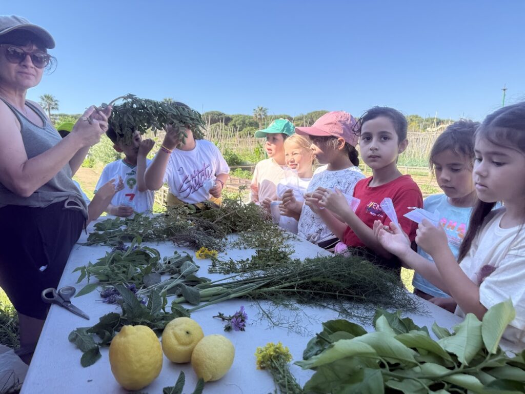 Sortida als horts municipals