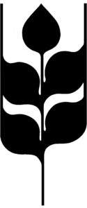 Escola ESPIGA