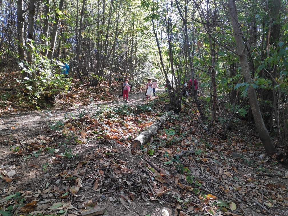 Excursió a Fontmartina