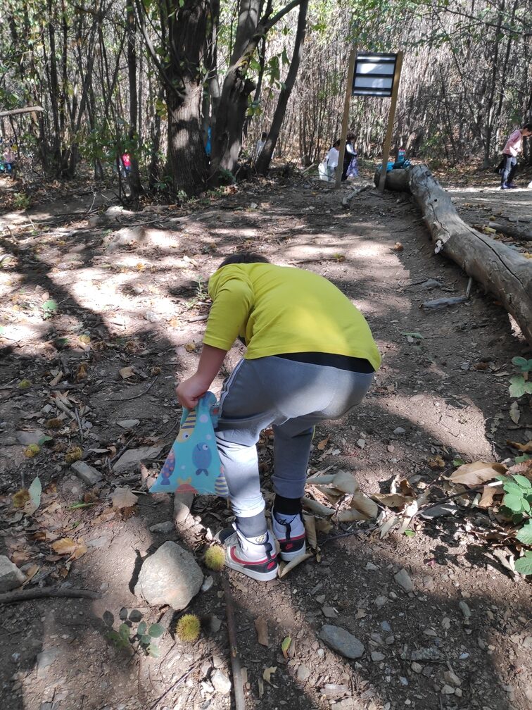 Excursió a Fontmartina