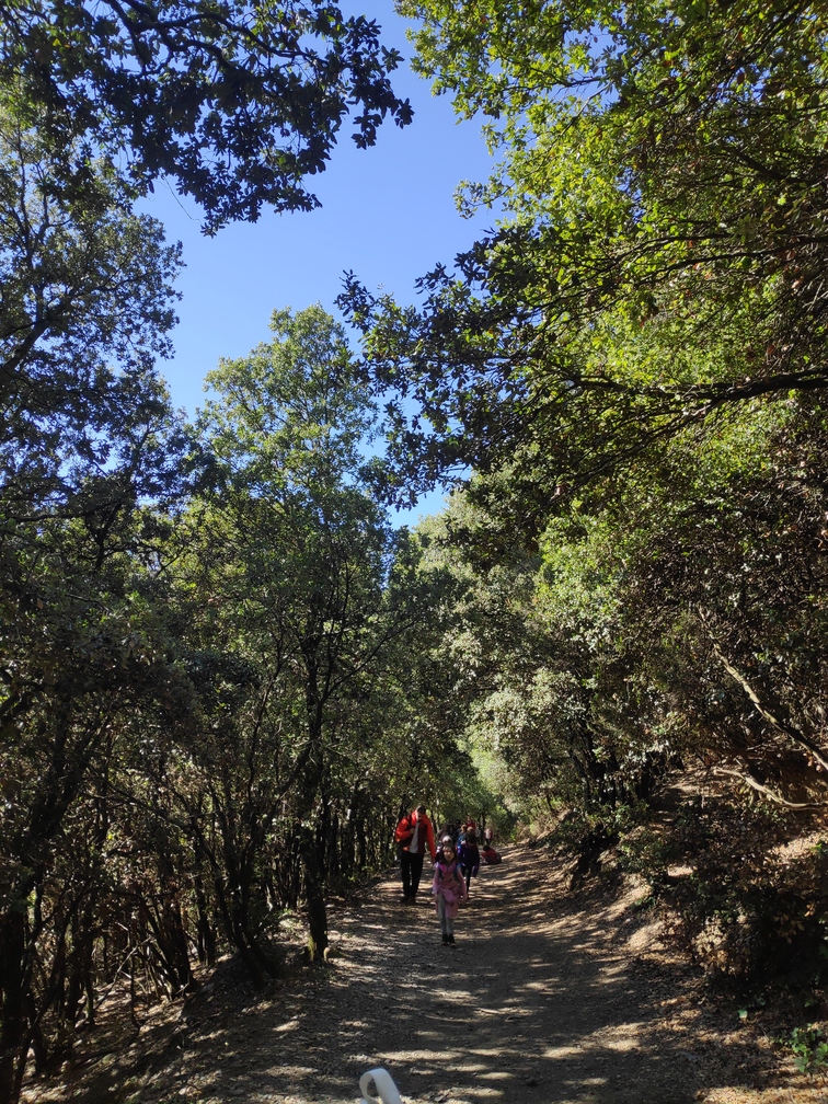 Excursió a Fontmartina
