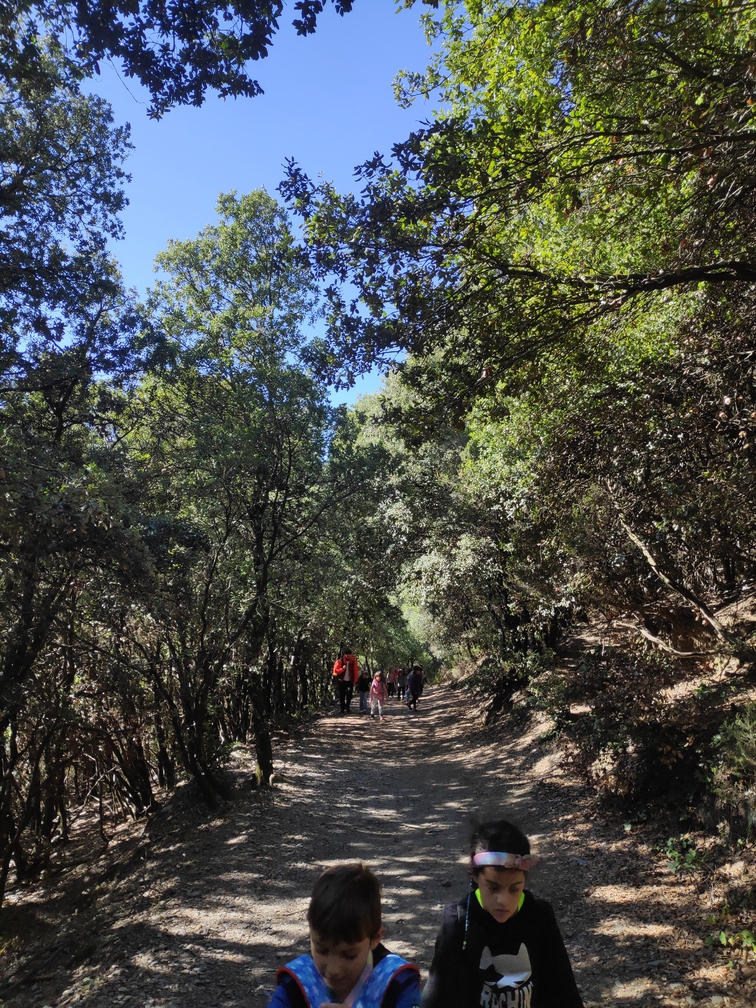 Excursió a Fontmartina