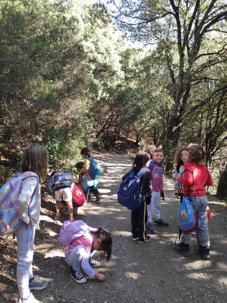 Excursió a Fontmartina