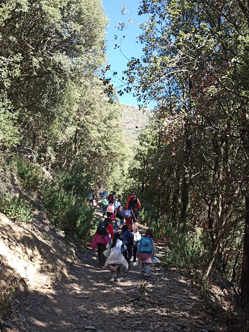 Excursió a Fontmartina