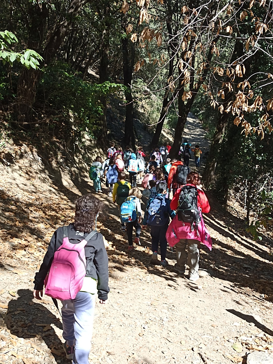 Excursió a Fontmartina