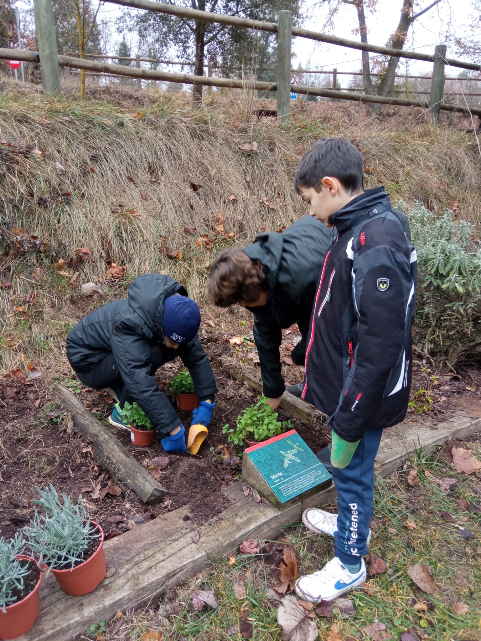 WhatsApp Image 2024-01-19 at 11.22.21