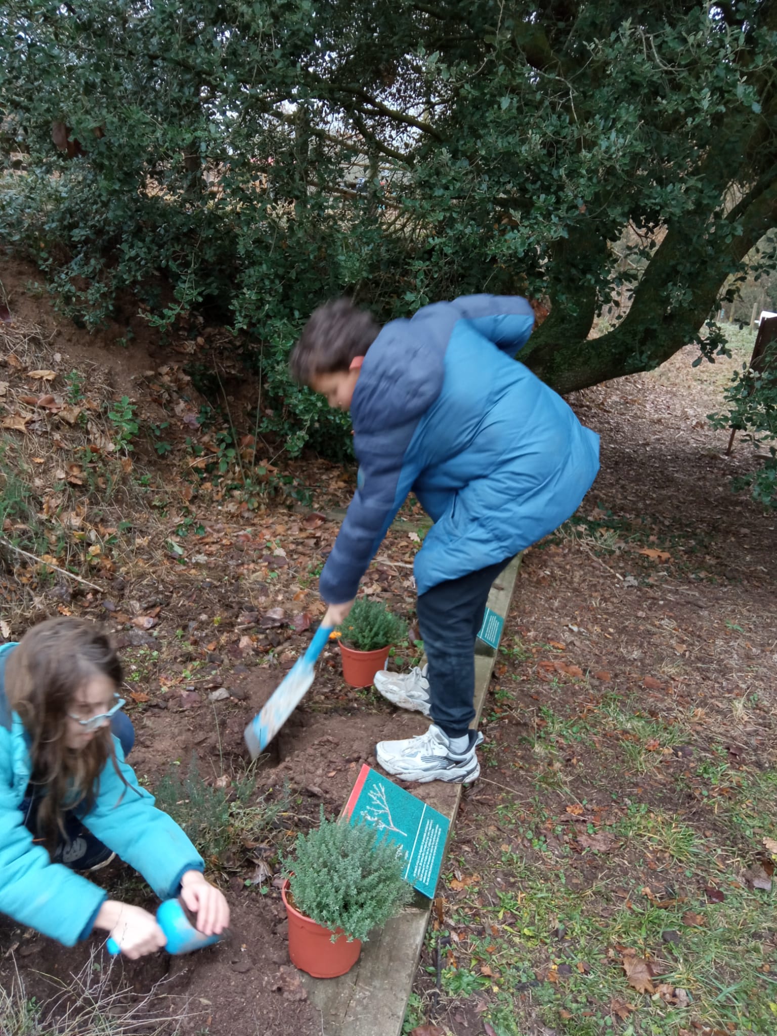 WhatsApp Image 2024-01-19 at 11.23.41 (4)