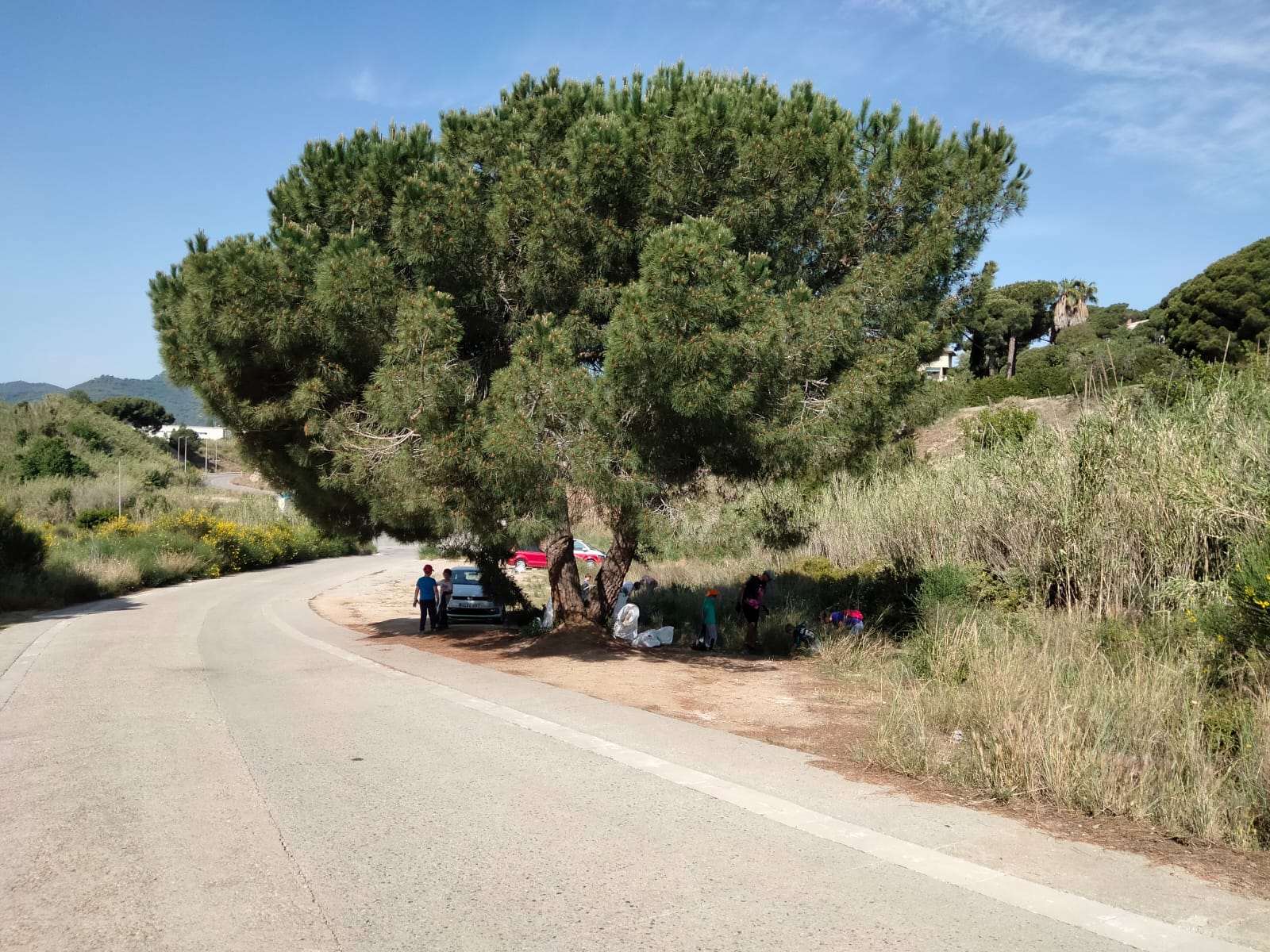 WhatsApp Image 2022-05-16 at 11.12.45