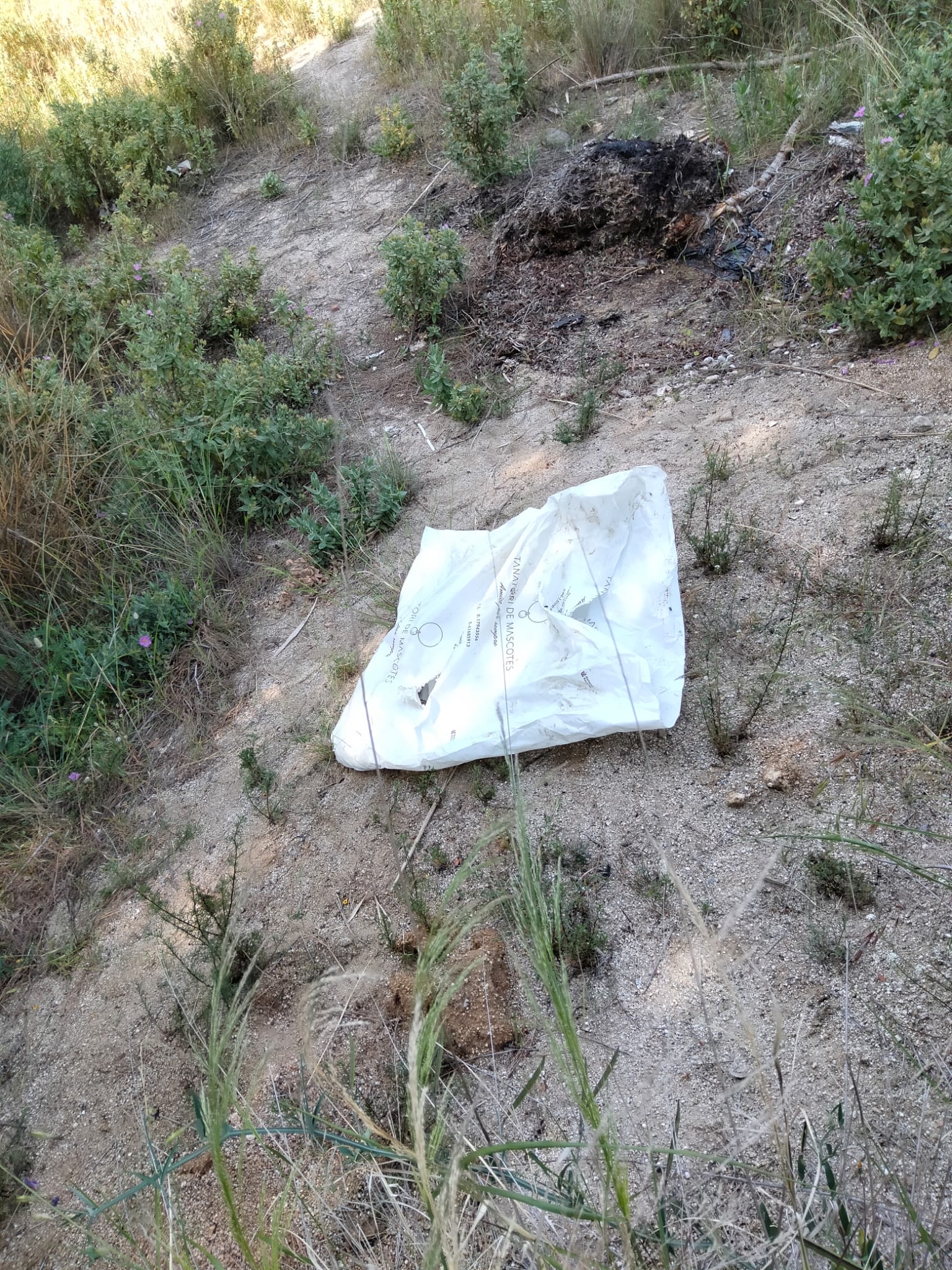 WhatsApp Image 2022-05-16 at 11.12.46 (1)