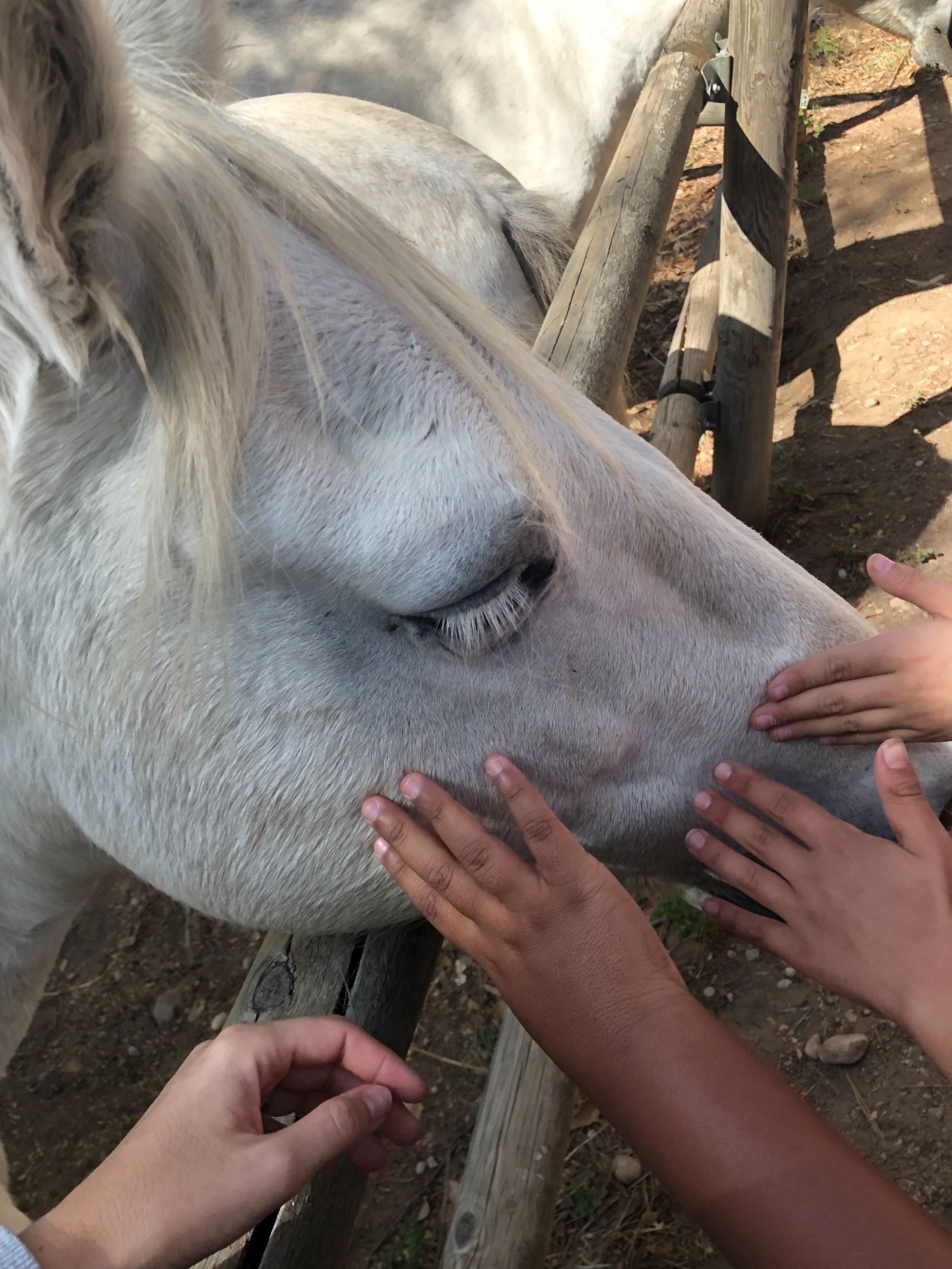 WhatsApp Image 2022-10-14 at 07.13.04 (12)