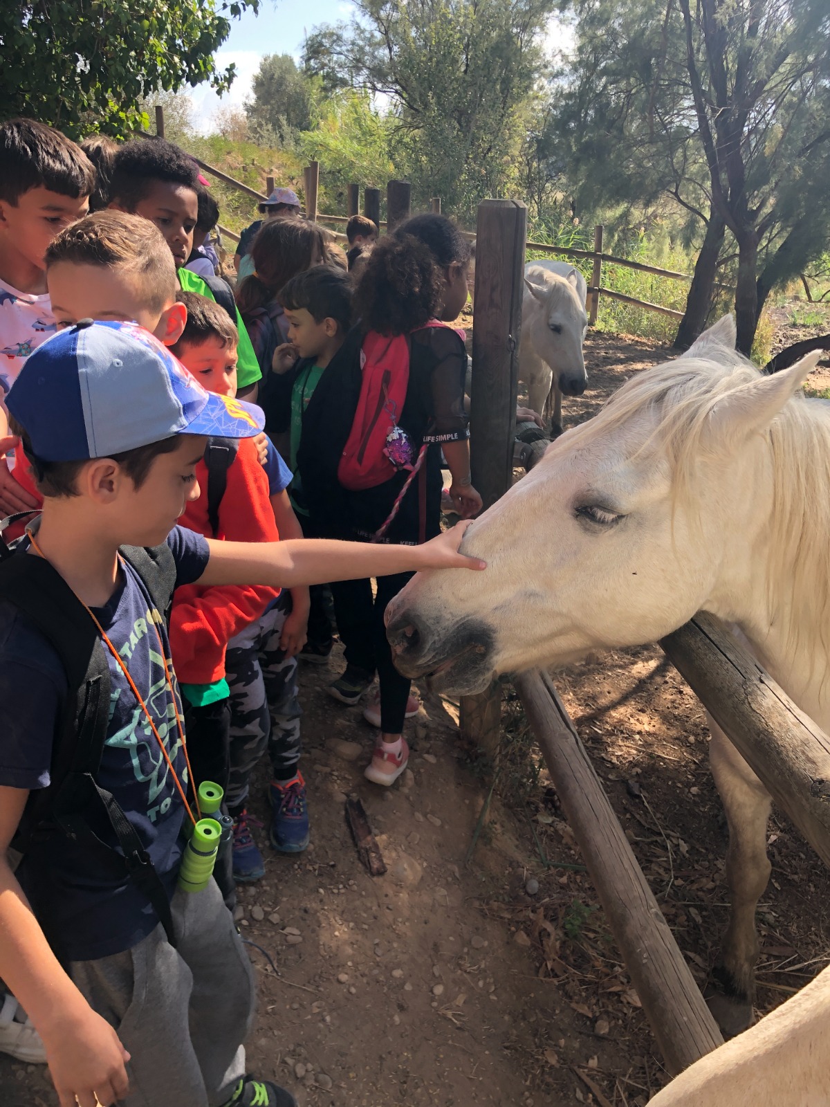 WhatsApp Image 2022-10-14 at 07.13.04 (13)