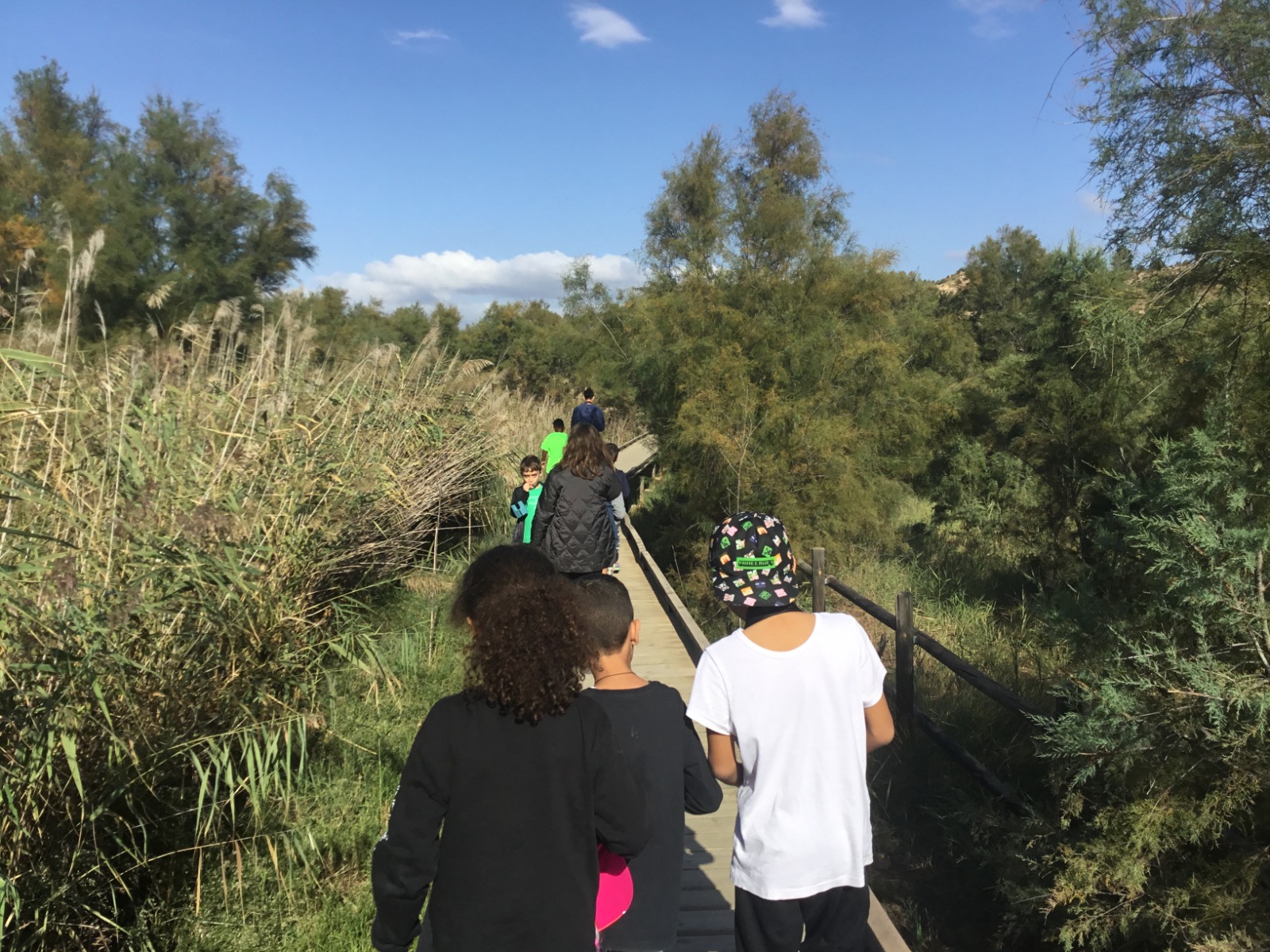 WhatsApp Image 2022-10-14 at 07.13.04 (19)