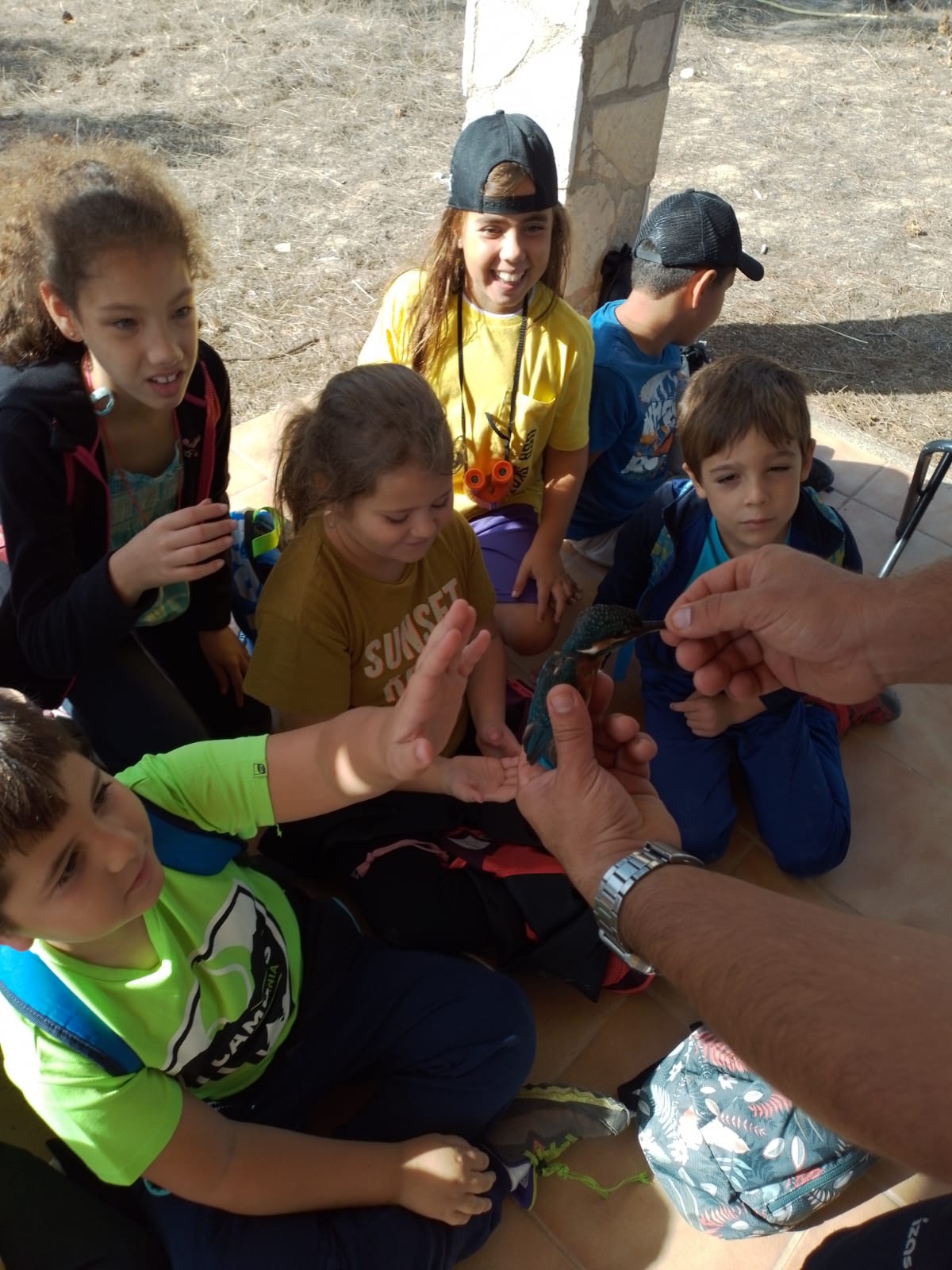 WhatsApp Image 2022-10-14 at 07.13.04 (6)