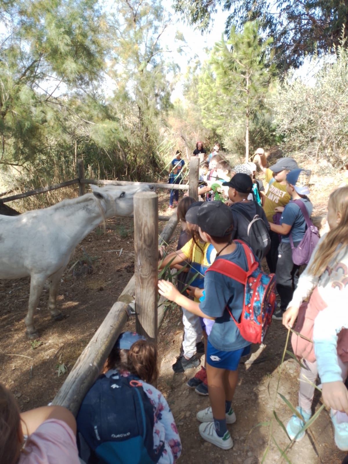 WhatsApp Image 2022-10-14 at 07.13.04 (7)