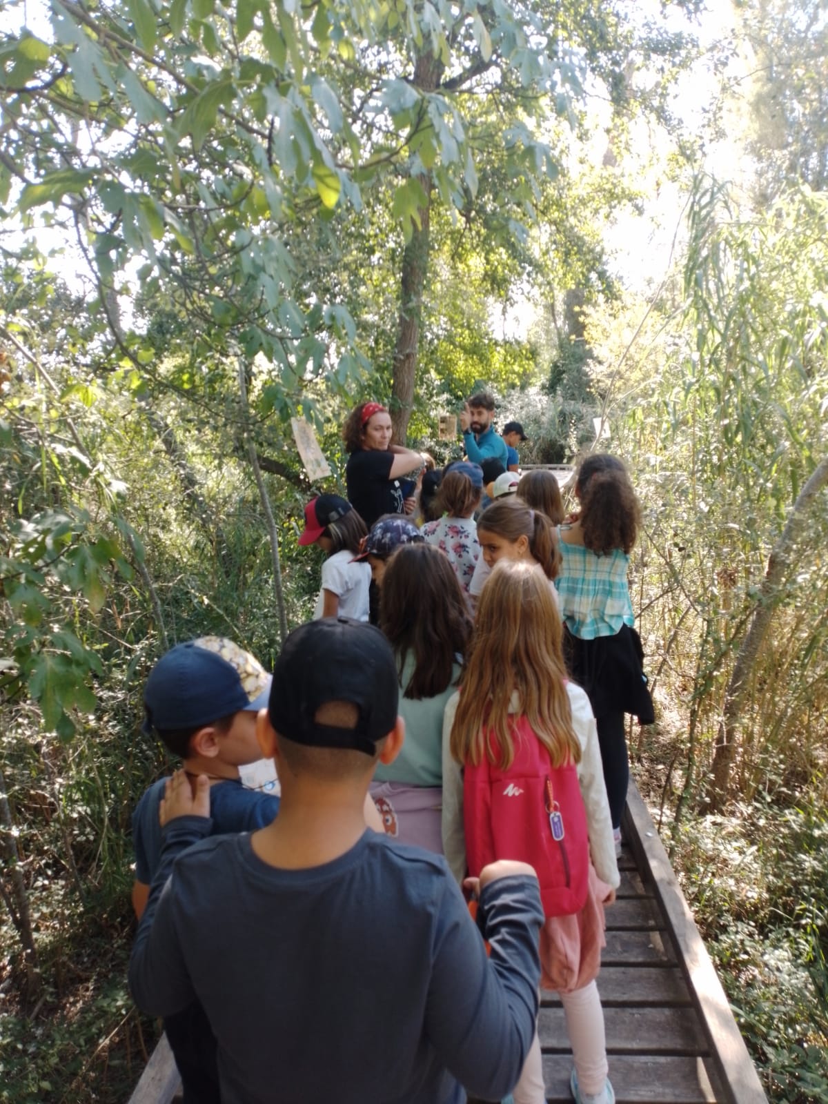 WhatsApp Image 2022-10-14 at 07.13.04 (8)