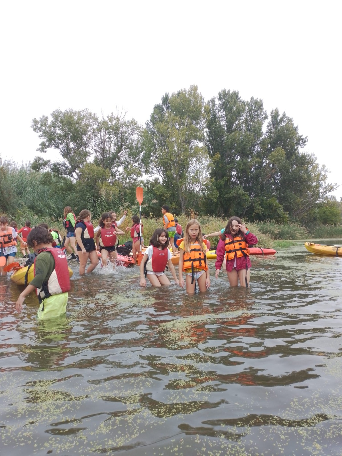 WhatsApp Image 2022-10-14 at 07.27.42 (12)